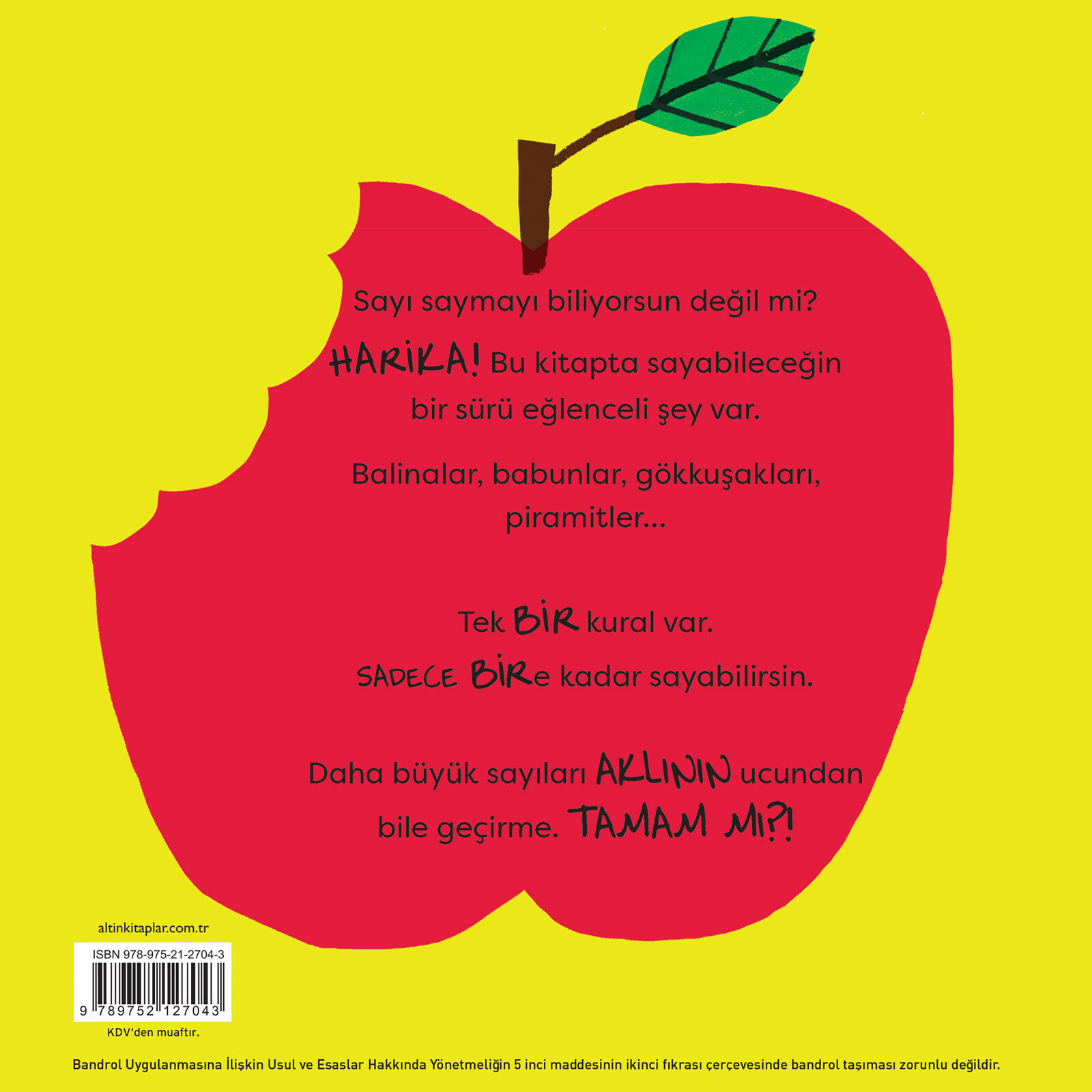 Bire Kadar Sayma Rehberi