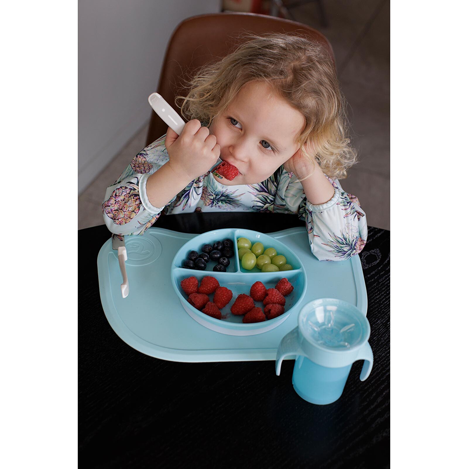 Bölmeli Tabak Mavi 6+Ay