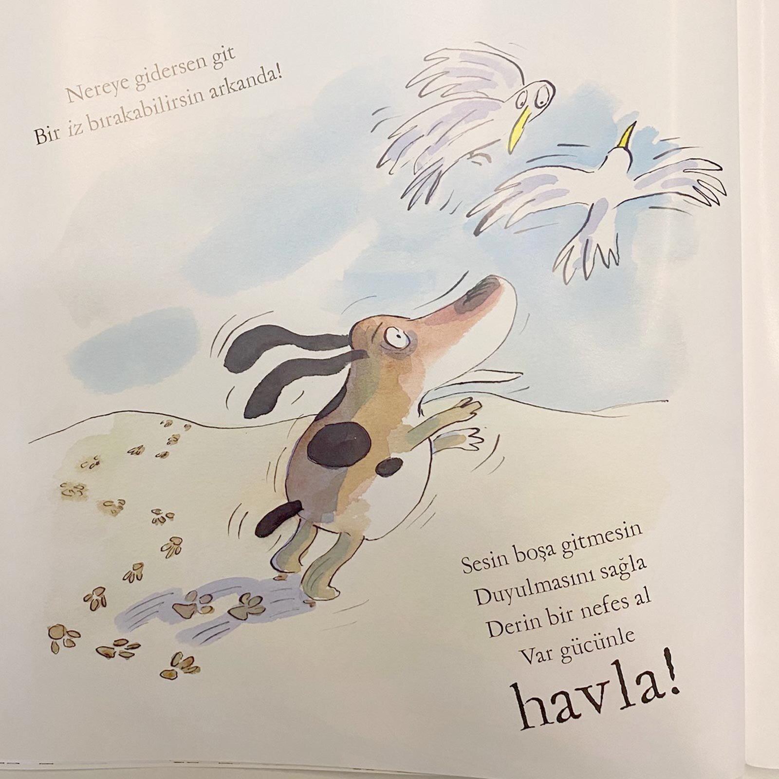 Boncuk'un Not Defteri Boncuk'un Not Defteri