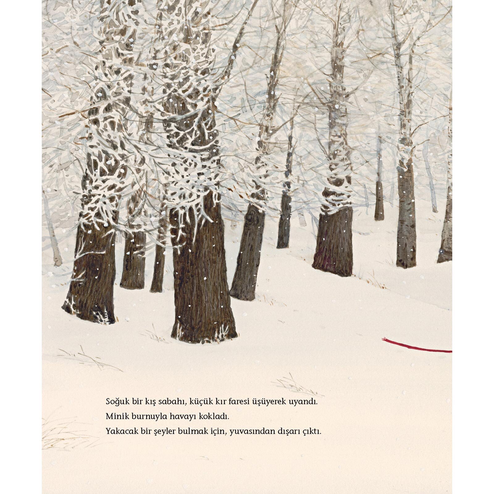 Bu Kış Kimse Üşümeyecek