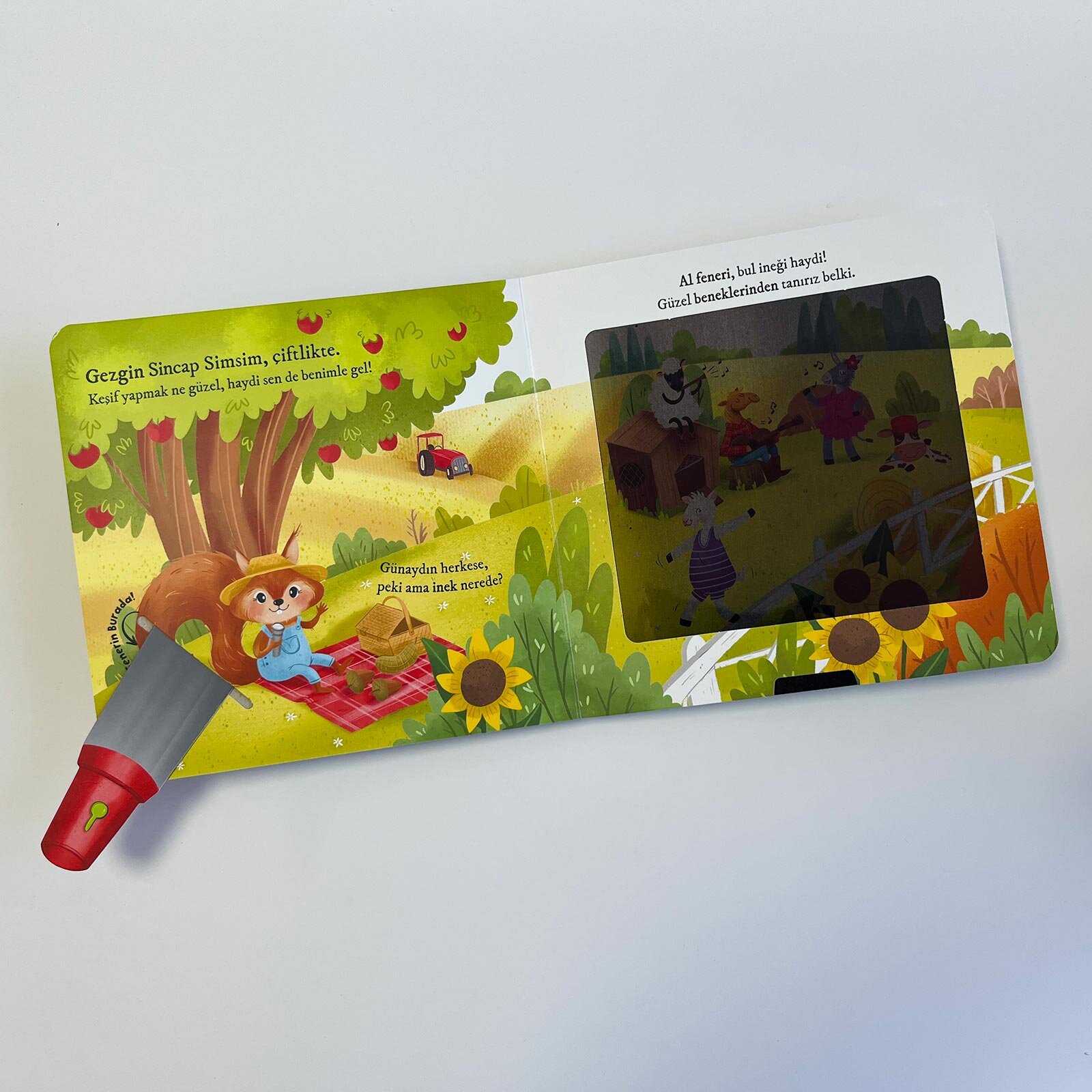 Bulurum Seni Çiftlikte Fenerli Kitap