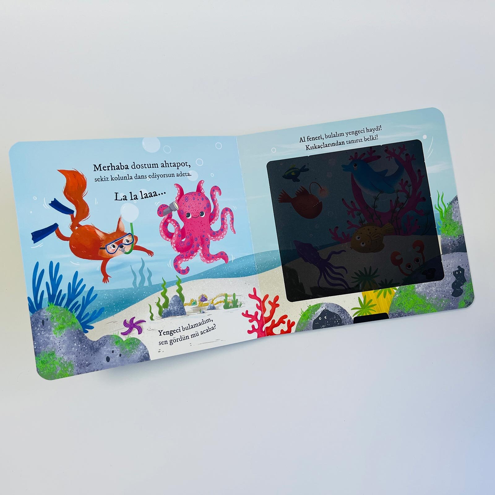 Bulurum Seni Okyanusta Fenerli Kitap Bulurum Seni Okyanusta Fenerli Kitap