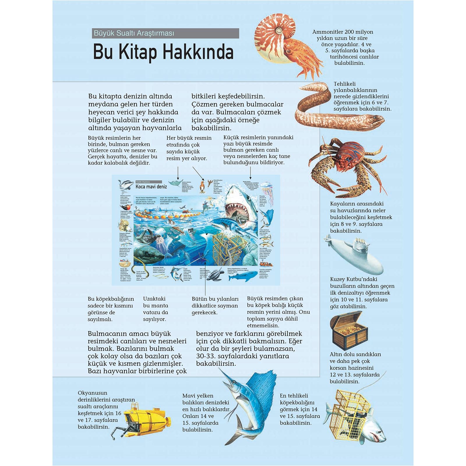 Büyük Sualtı Araştırması Büyük Sualtı Araştırması