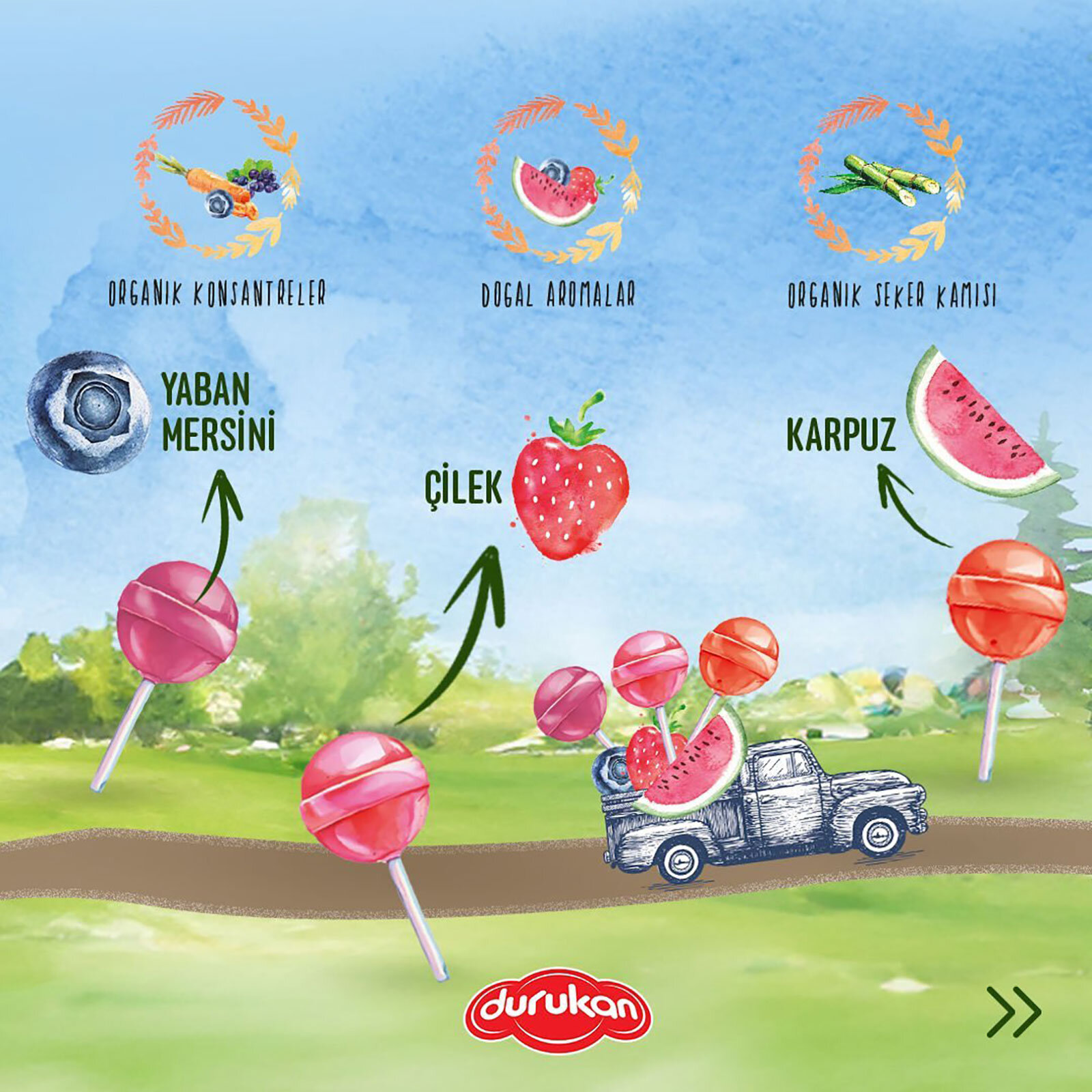 C Vitaminli Organik Lolipop