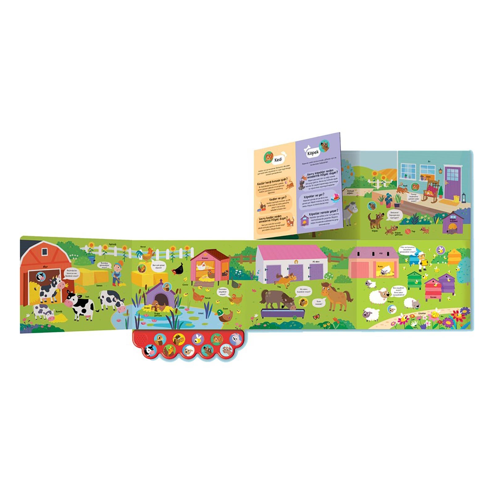 Çiftlik Hayatı - Sesli Kitap