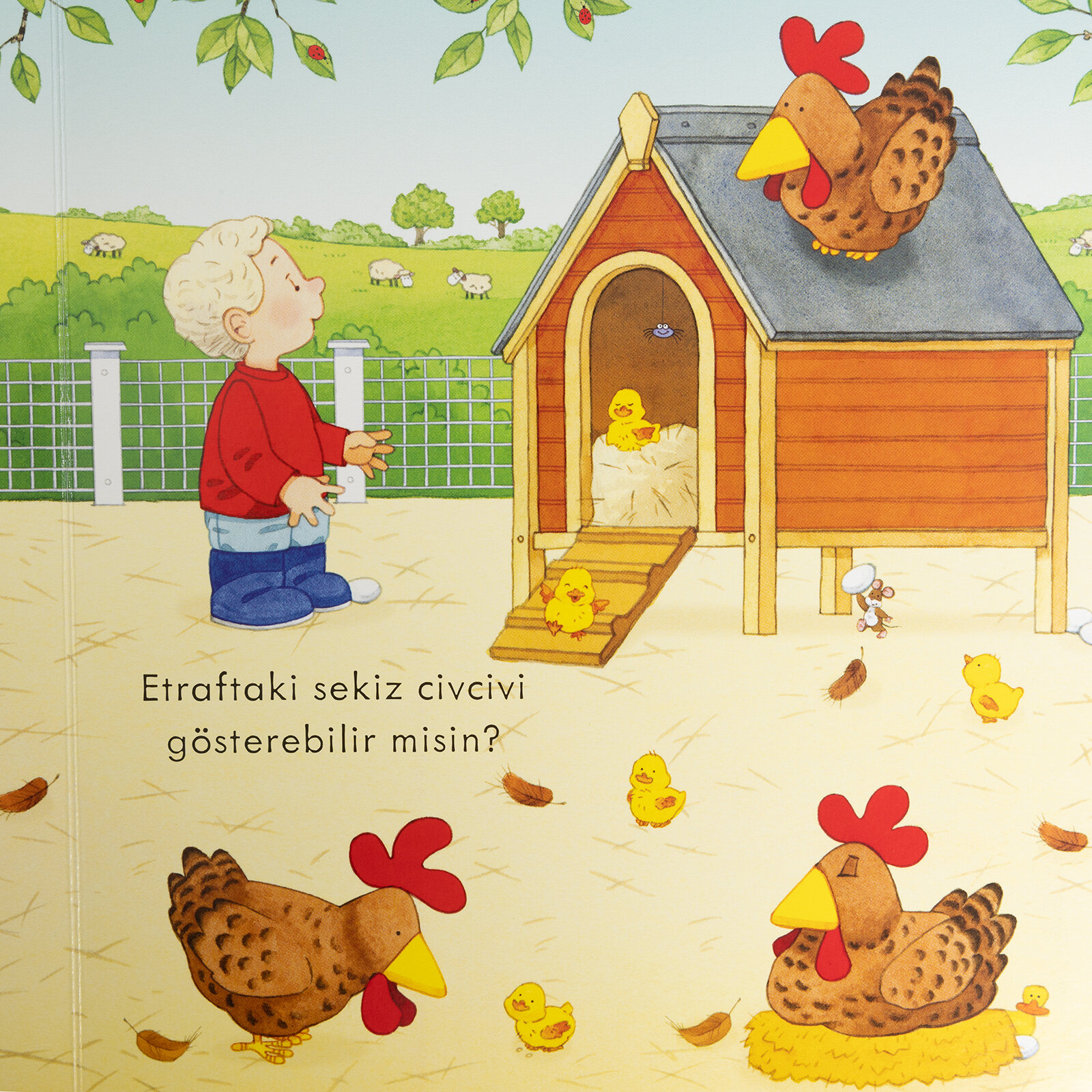 Çiftlik Öy.-İnci Ve Ege İle Saymayı Öğreniyorum