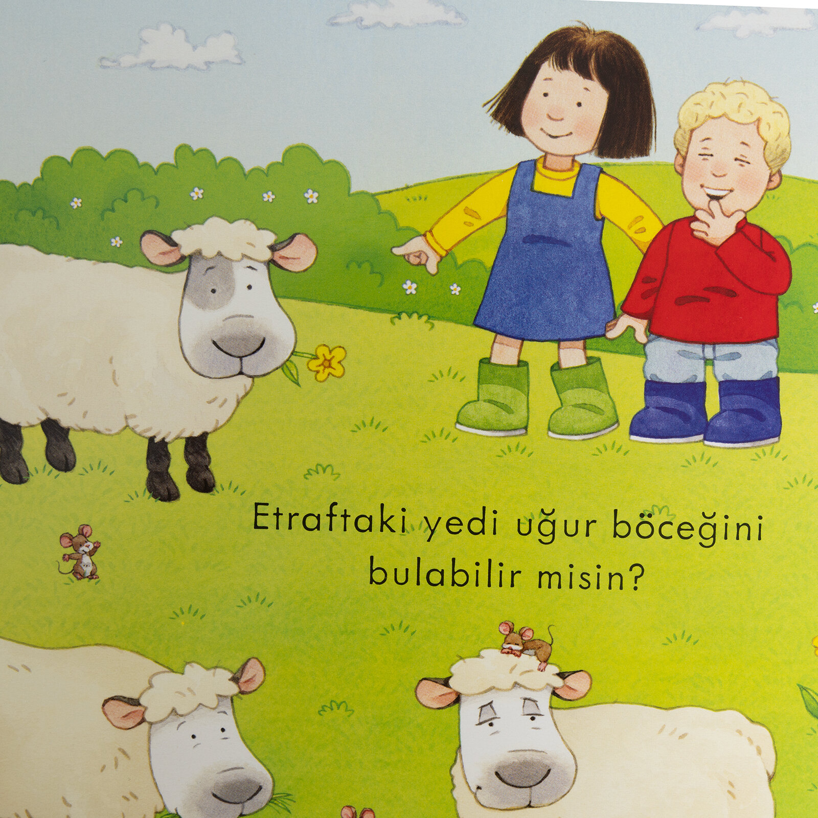 Çiftlik Öy.-İnci Ve Ege İle Saymayı Öğreniyorum