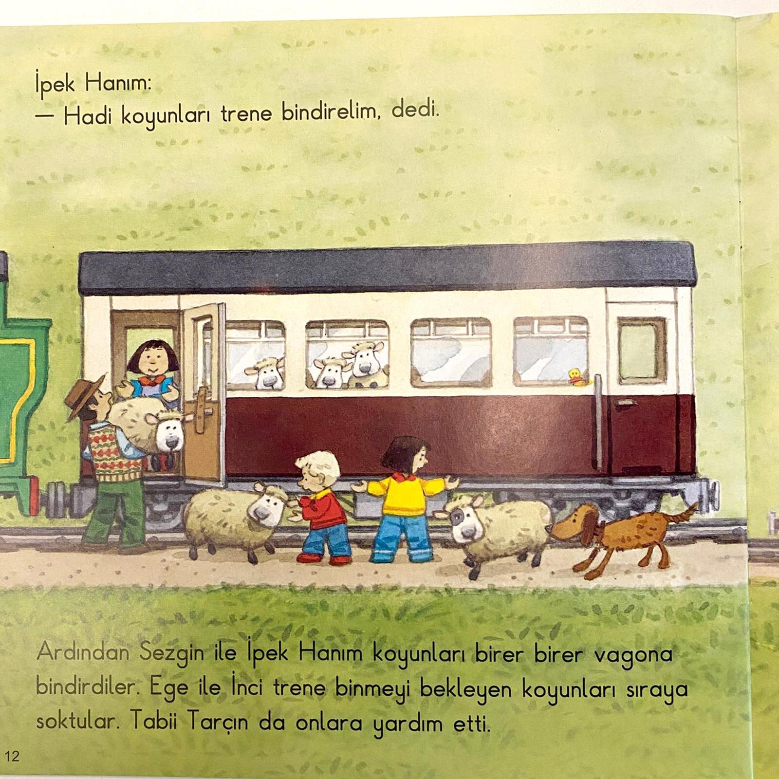 Çiftlik Öyküleri-Kayıp Sürü