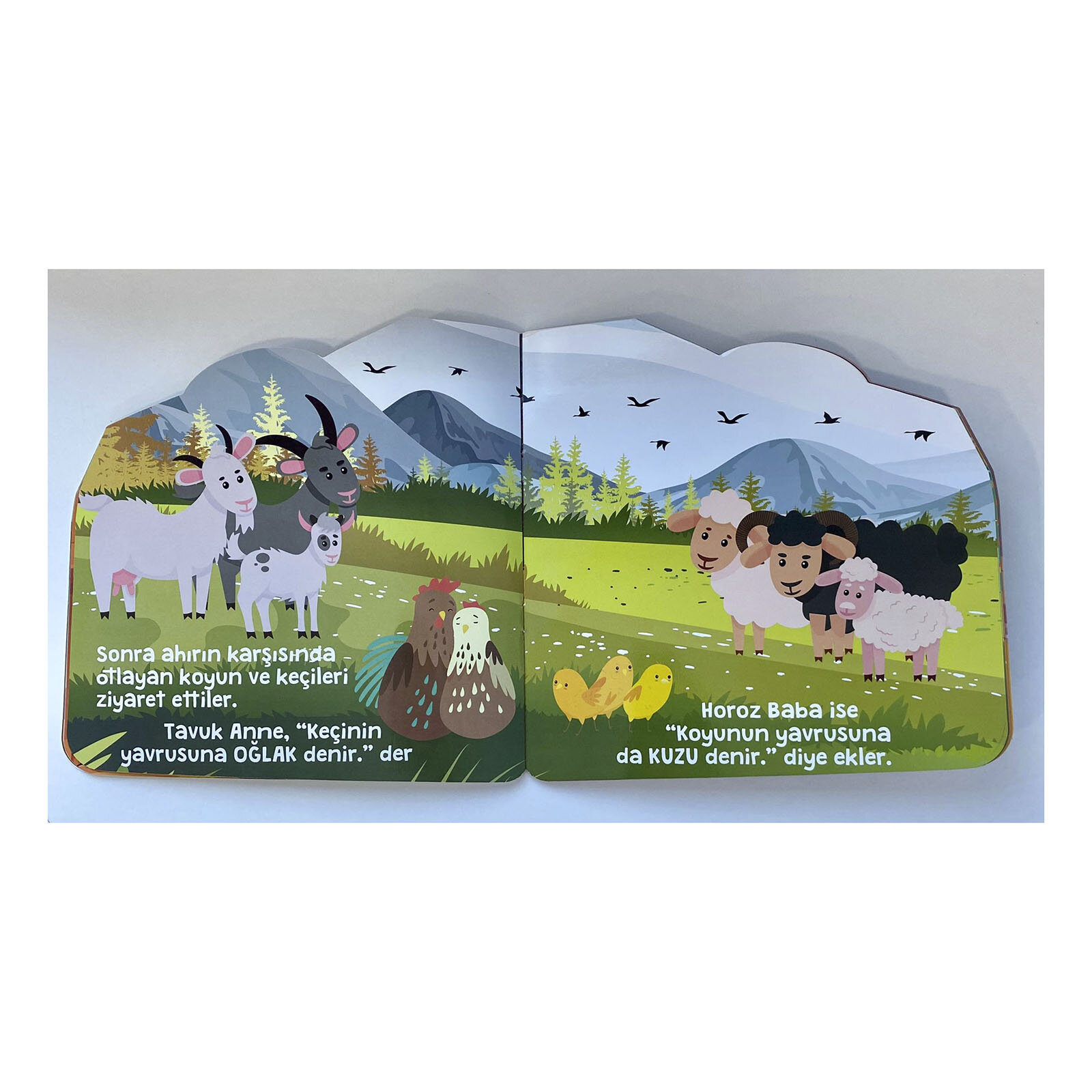 Afacan Civcivler Komşularıyla Tanışıyor Bebek Masal Meltem Erinçmen Kanoğlu