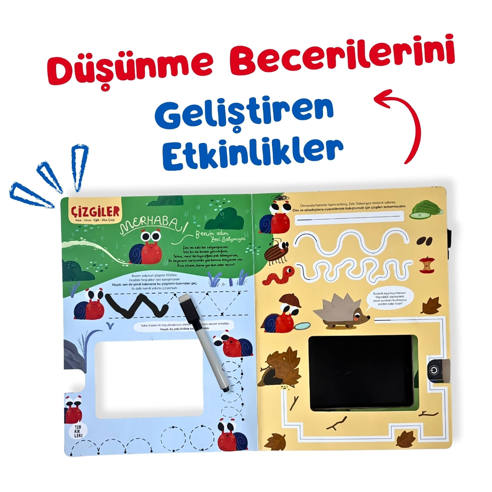 Çiz Çiz Zeki Salyangoz