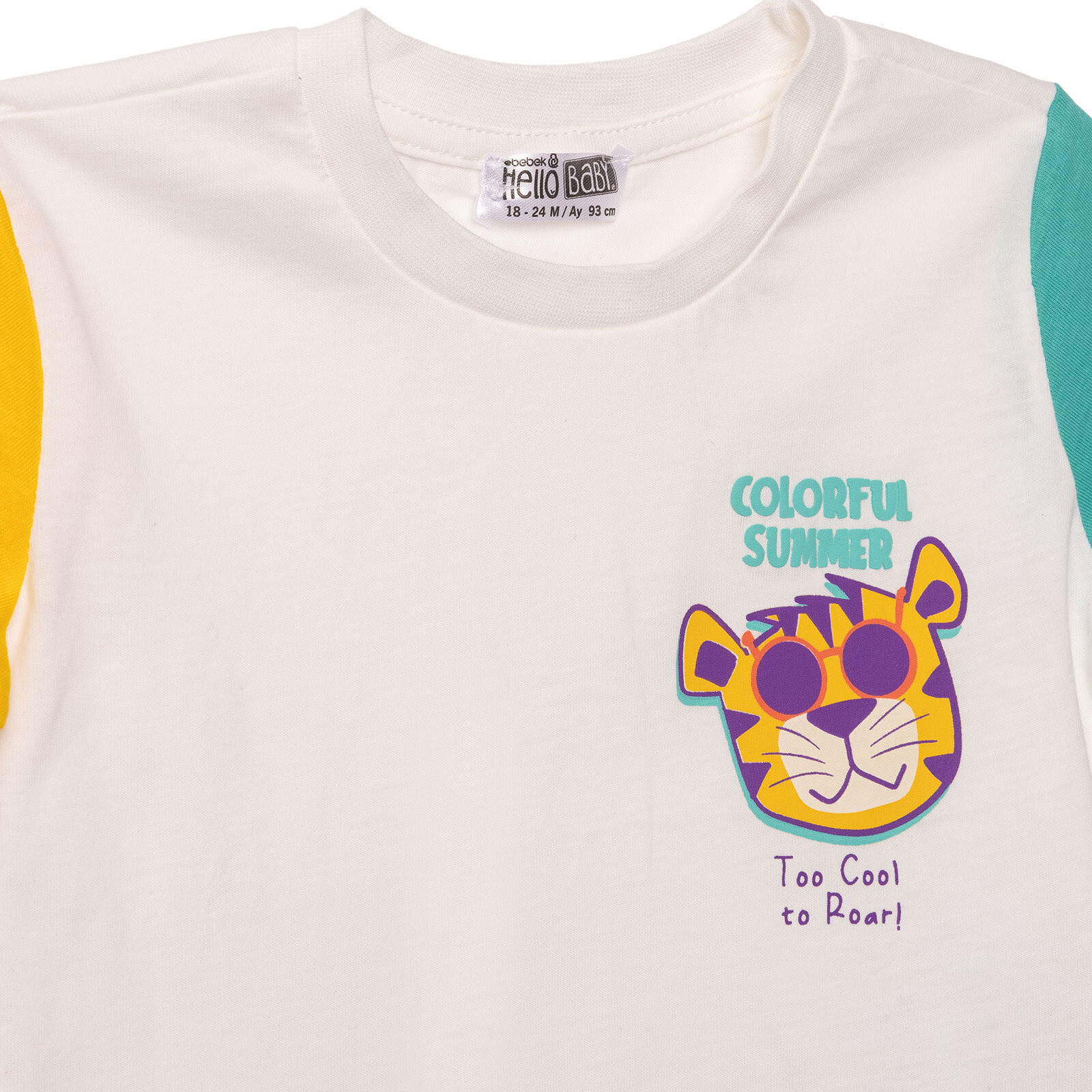 Colorful Summer Tshirt-Şort