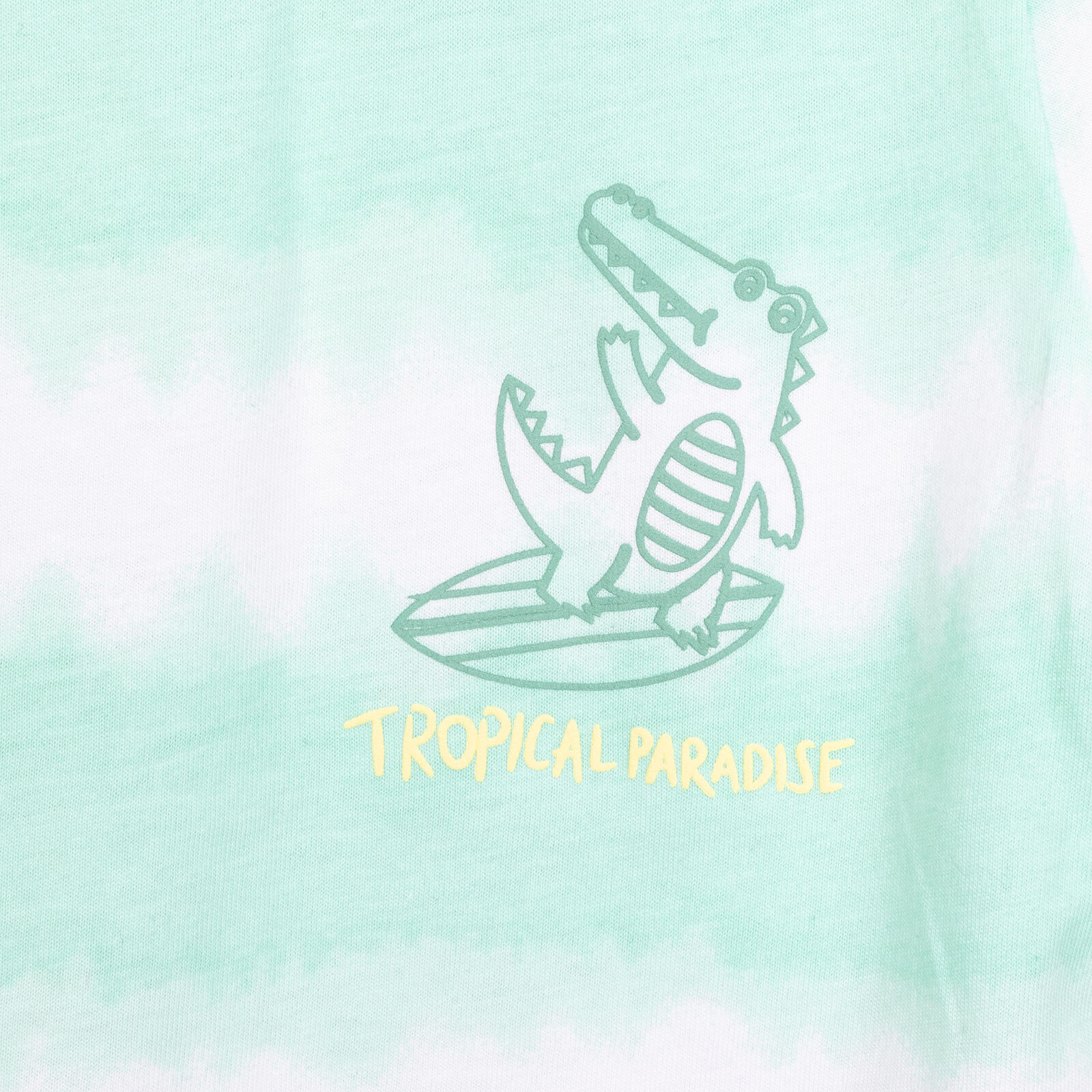 Crocodile Erkek Tshirt-Şort Erkek Bebek