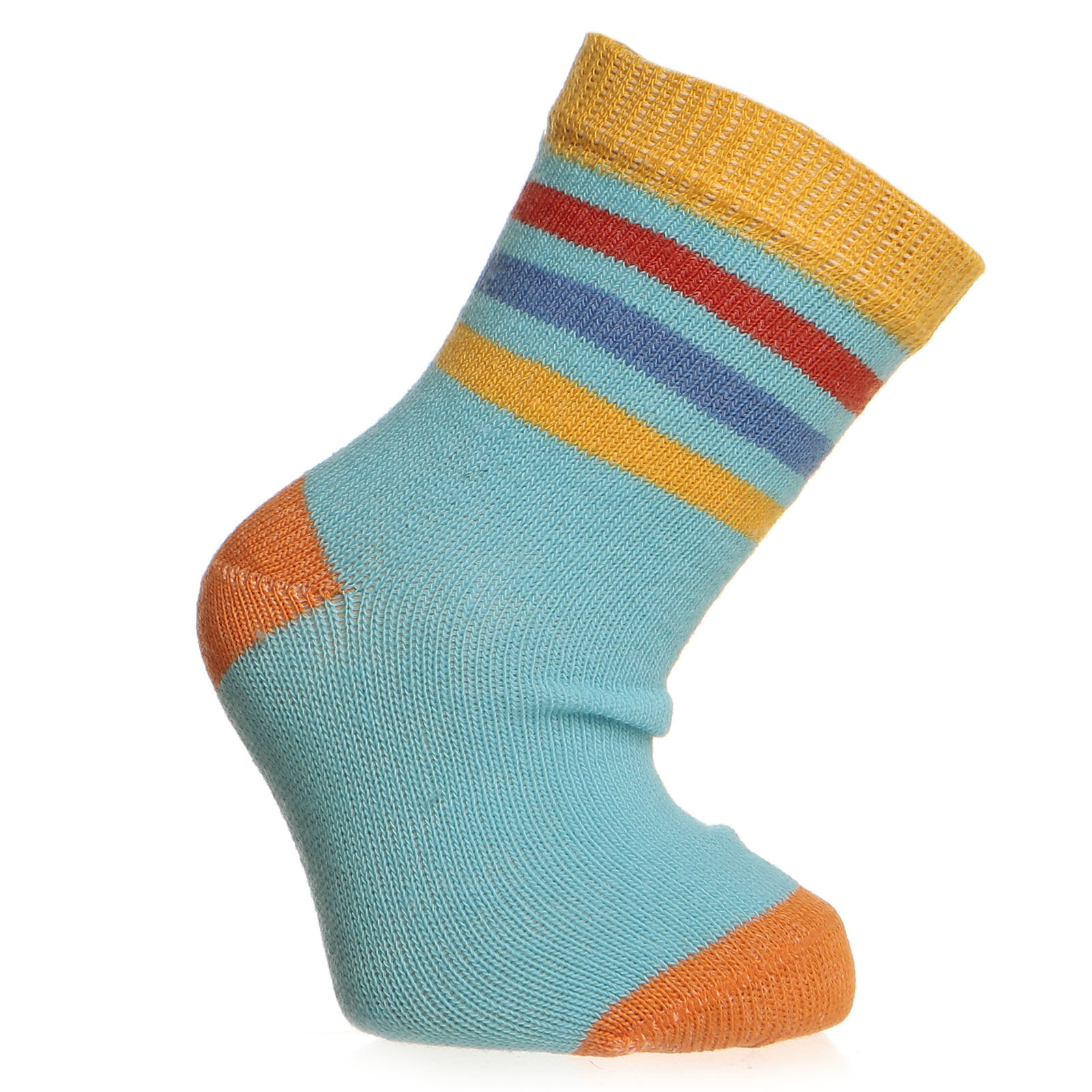 Albio Deniz Canlıları Desenli 6'lı Soket Çorap Erkek Bebek
