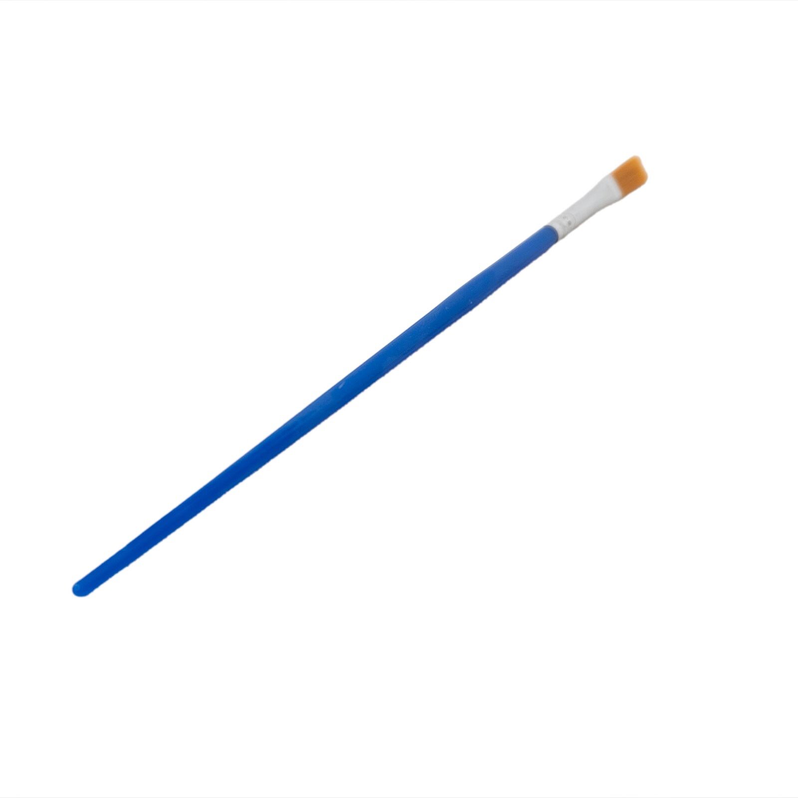 Deniz Kabuğu Boyama Deniz Kabuğu Boyama