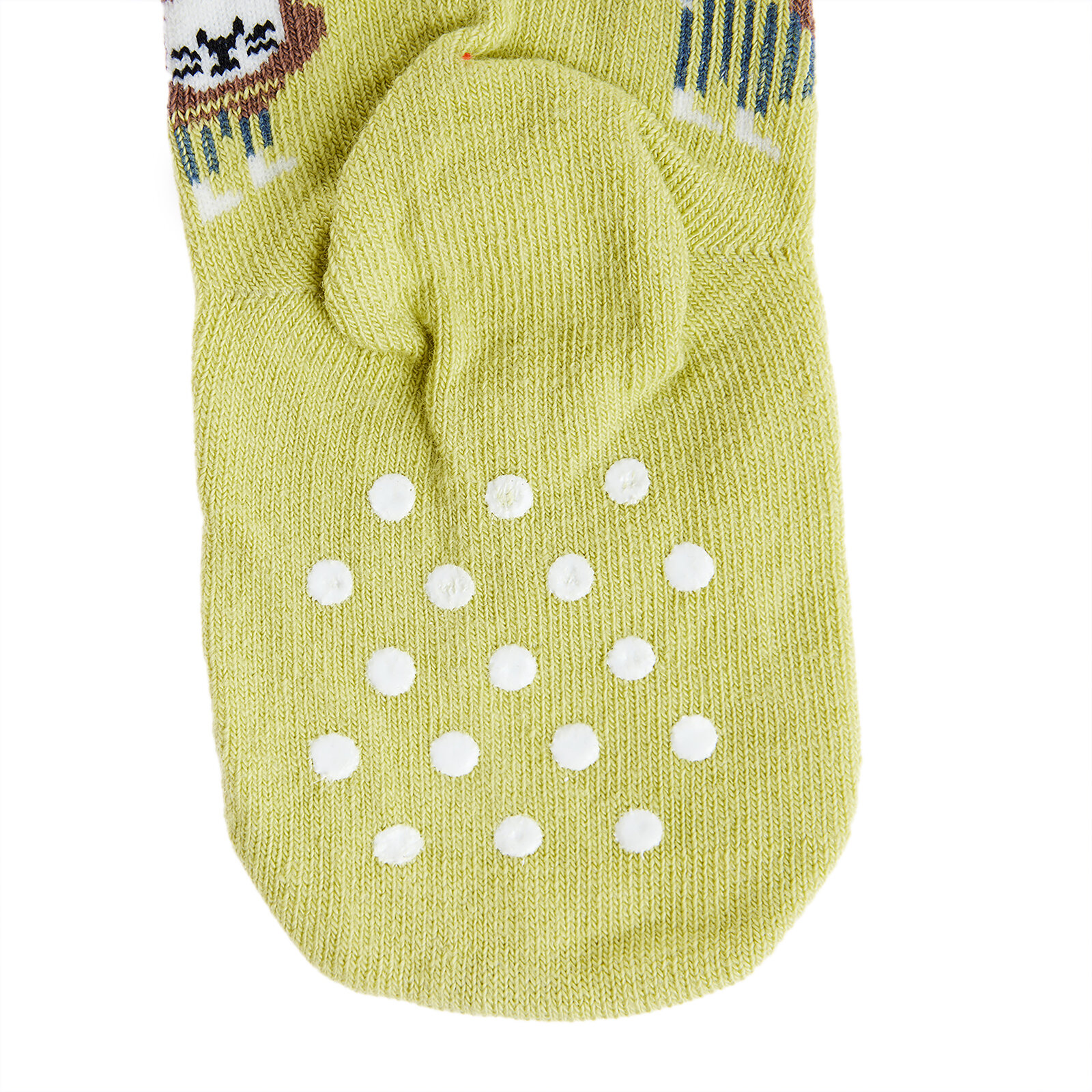 Aslan Desenli Külotlu Çorap Erkek Bebek