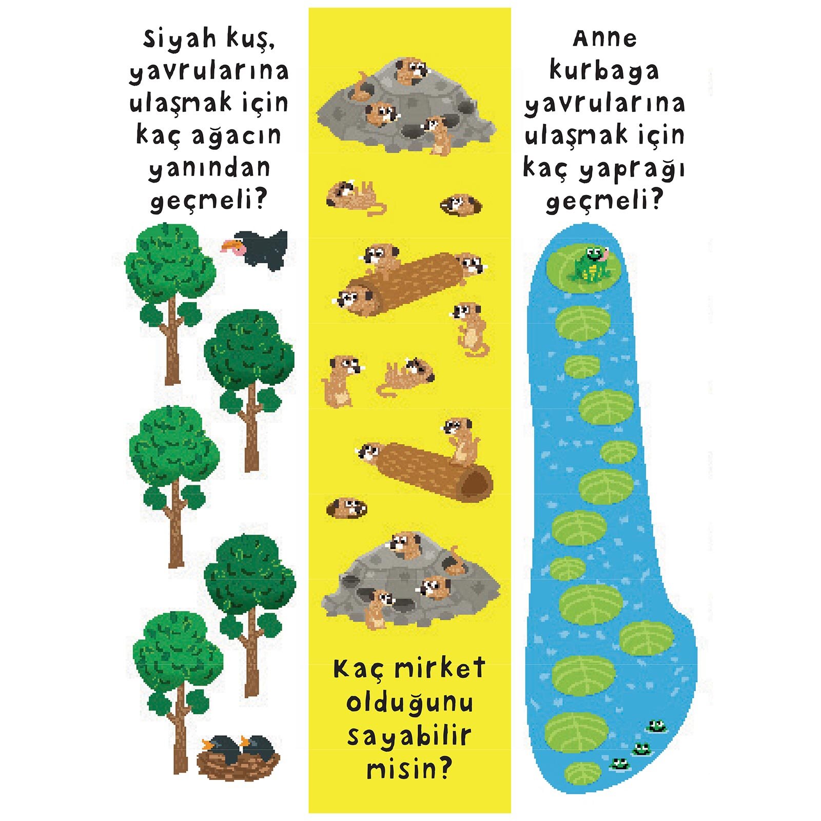 Dev Sayılar Kitabım Dev Sayılar Kitabım