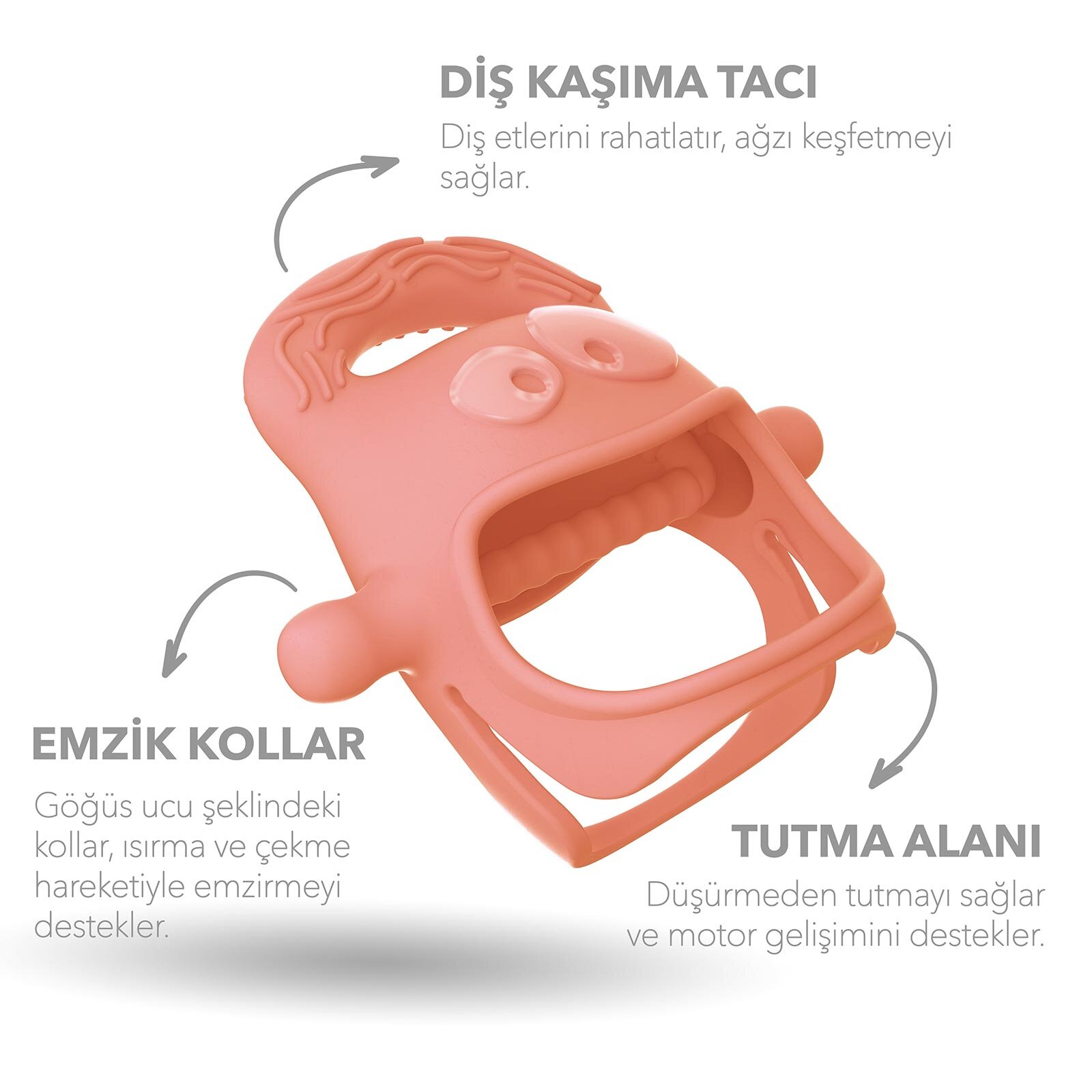 Diş Kaşıyıcı Somon