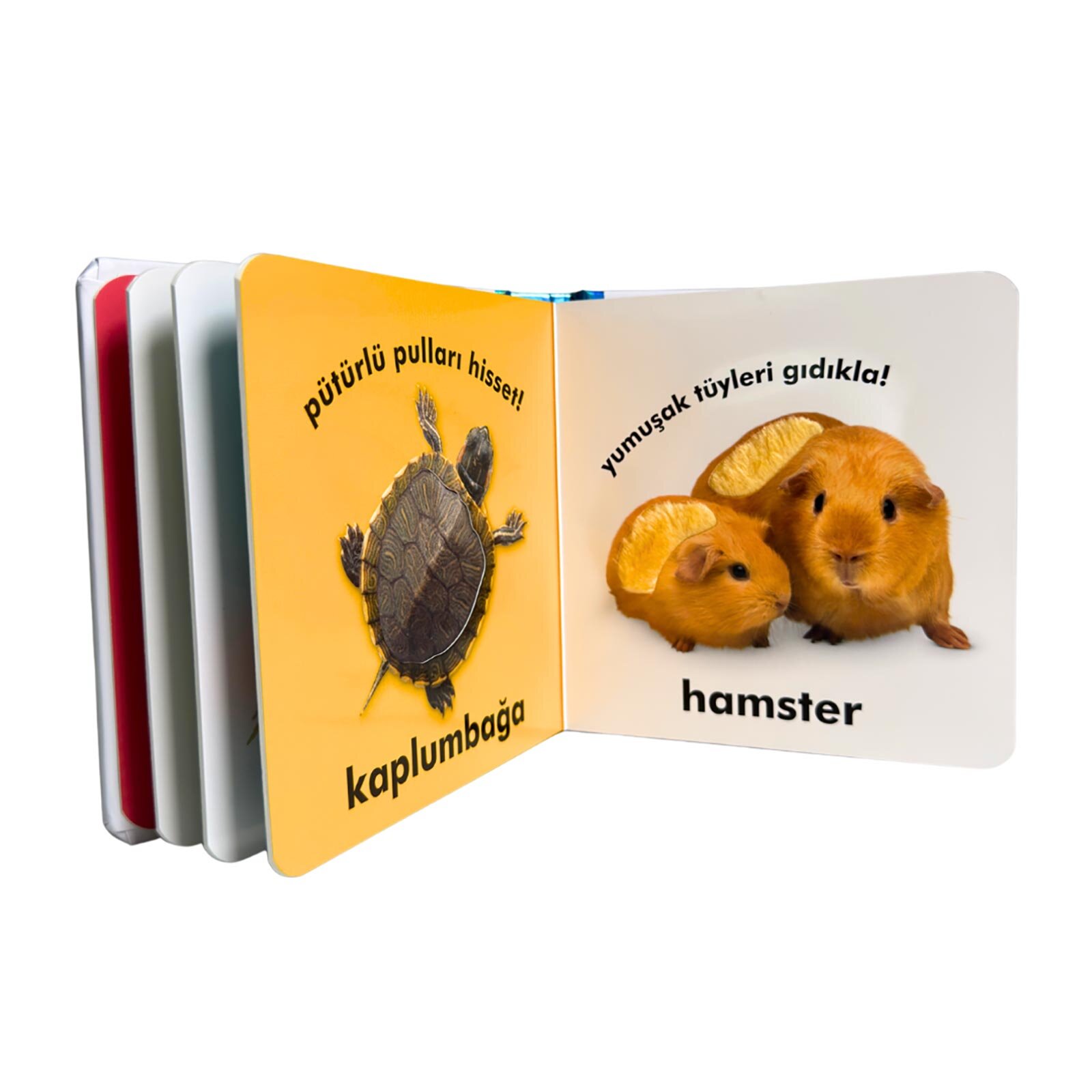 Dk Bebek Dokun Ve Hisset Serisi - Evcil Hayvanlar