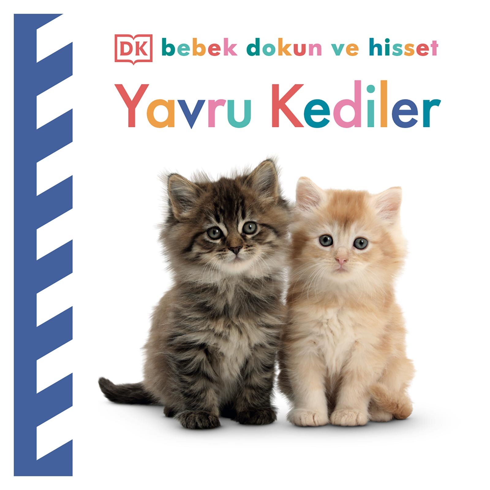 Dk Bebek Dokun Ve Hisset Serisi - Yavru Kediler