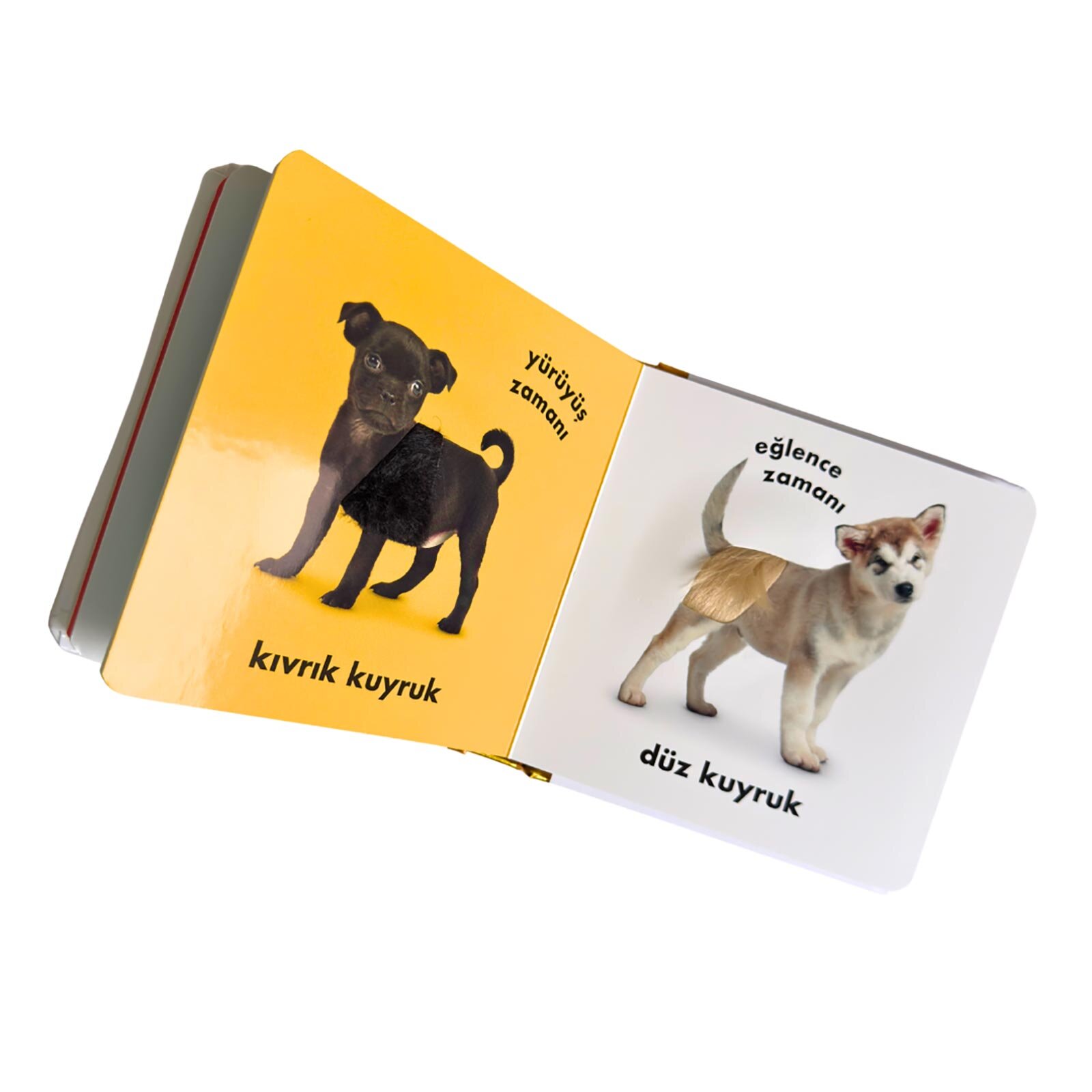 Dk Bebek Dokun Ve Hisset Serisi - Yavru Köpekler Dk Bebek Dokun Ve Hisset Serisi - Yavru Köpekler