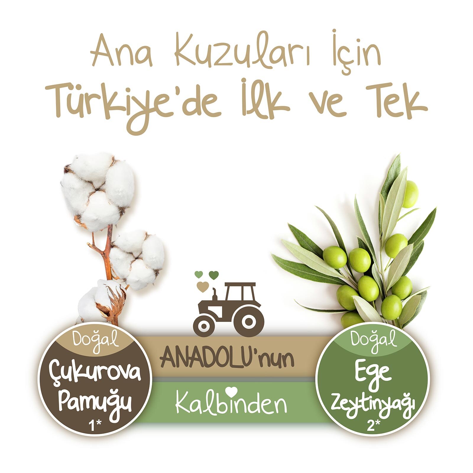 Doğadan 5 Beden 78 Adet