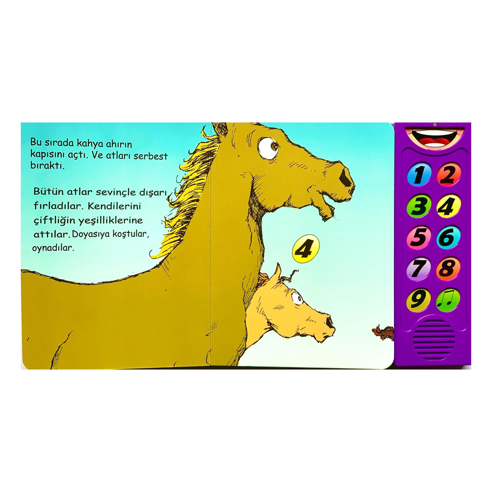 Dokun Dinle - Sevim Atlar Dokun Dinle - Sevim Atlar