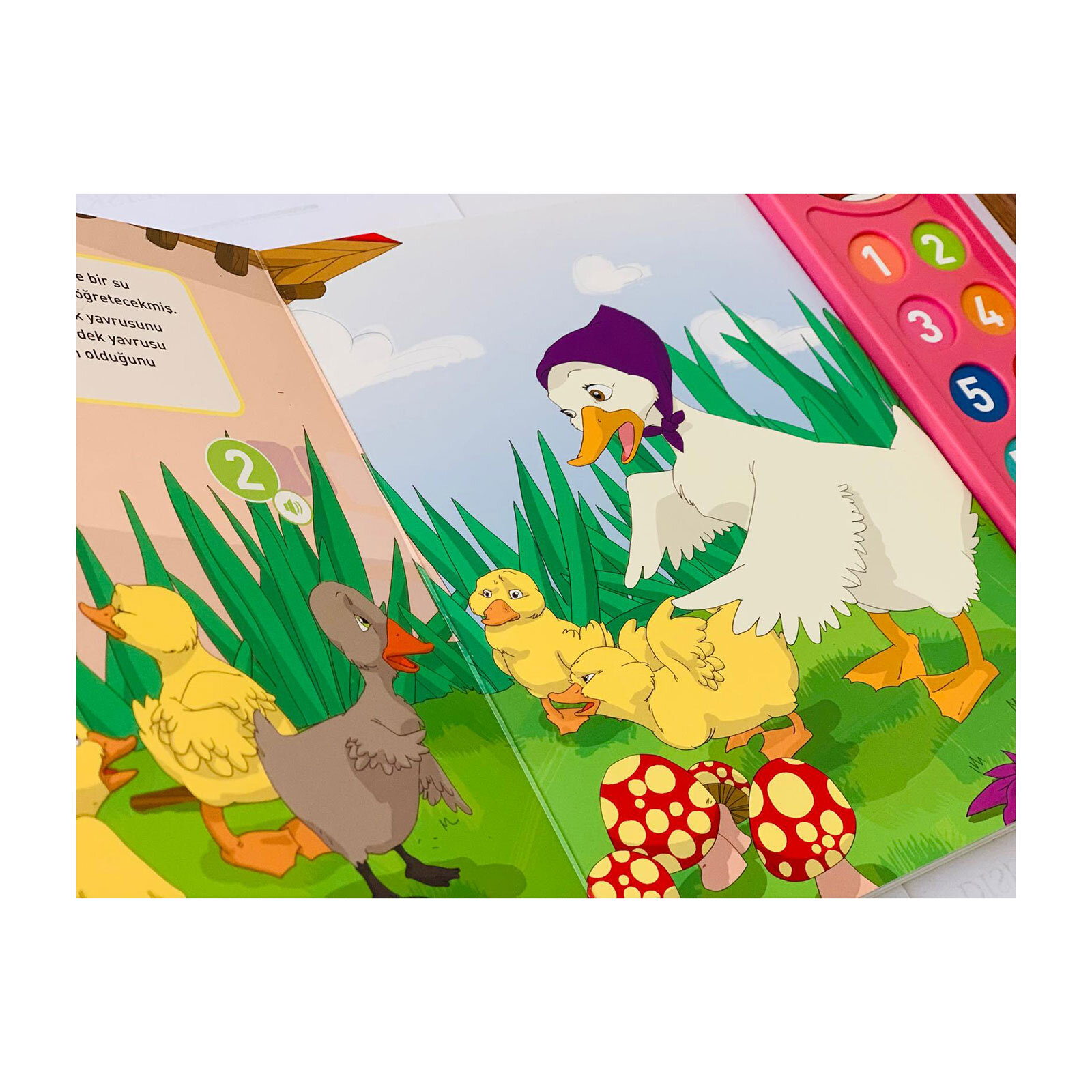 Dünya Klasiği Masallar Çirkin Ördek Yavrusu Dünya Klasiği Masallar Çirkin Ördek Yavrusu