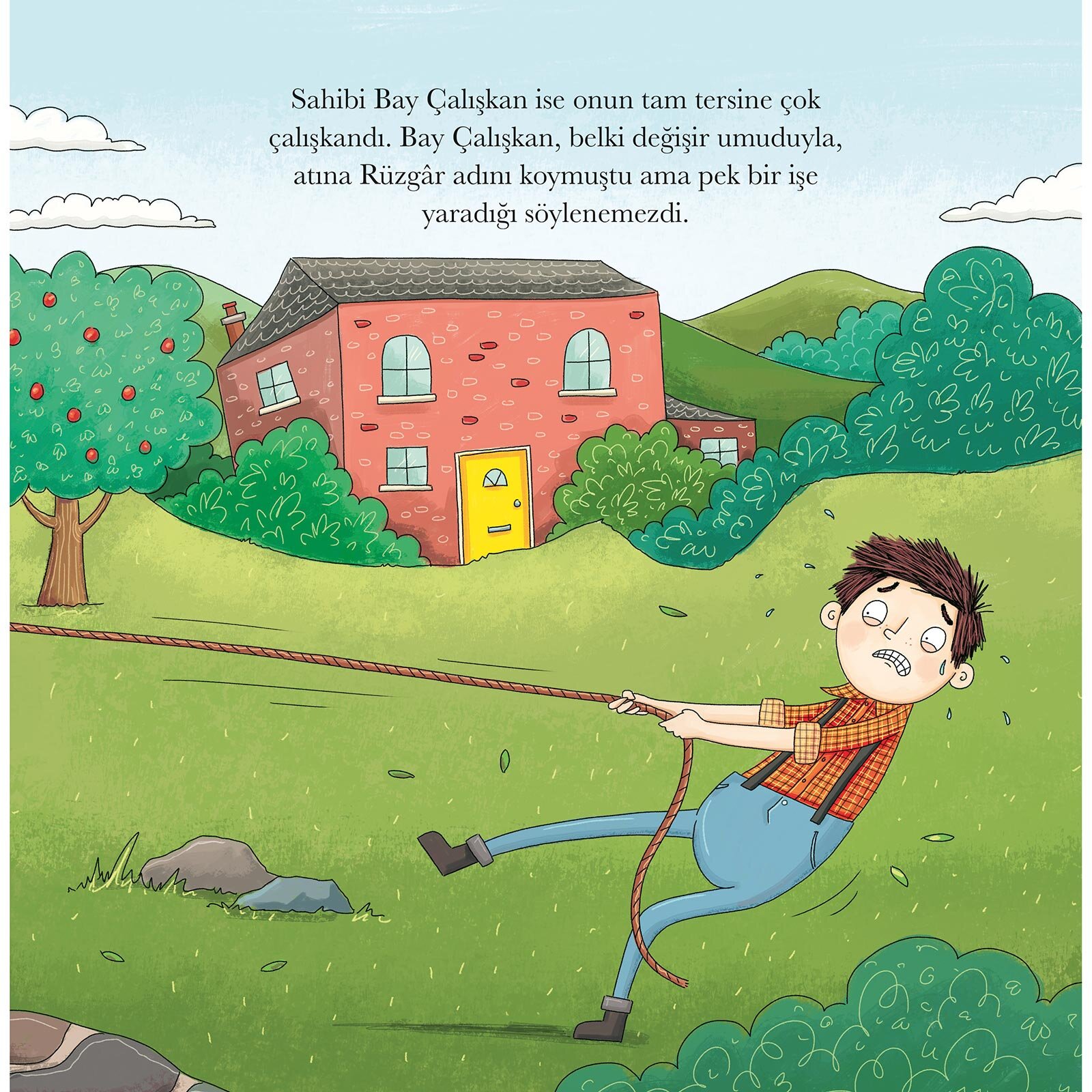 Dünyanın En Tembel Atı: Rüzgar