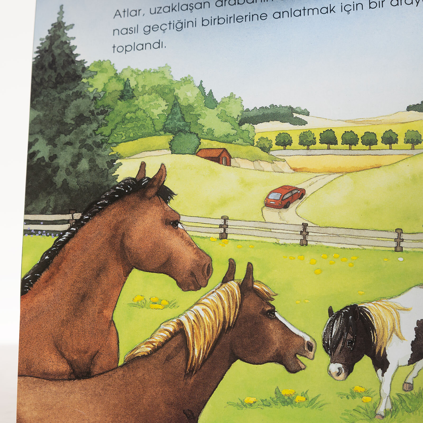 Dünyayı Öğreniyorum –Midillilerle Bir Gün Dünyayı Öğreniyorum –Midillilerle Bir Gün