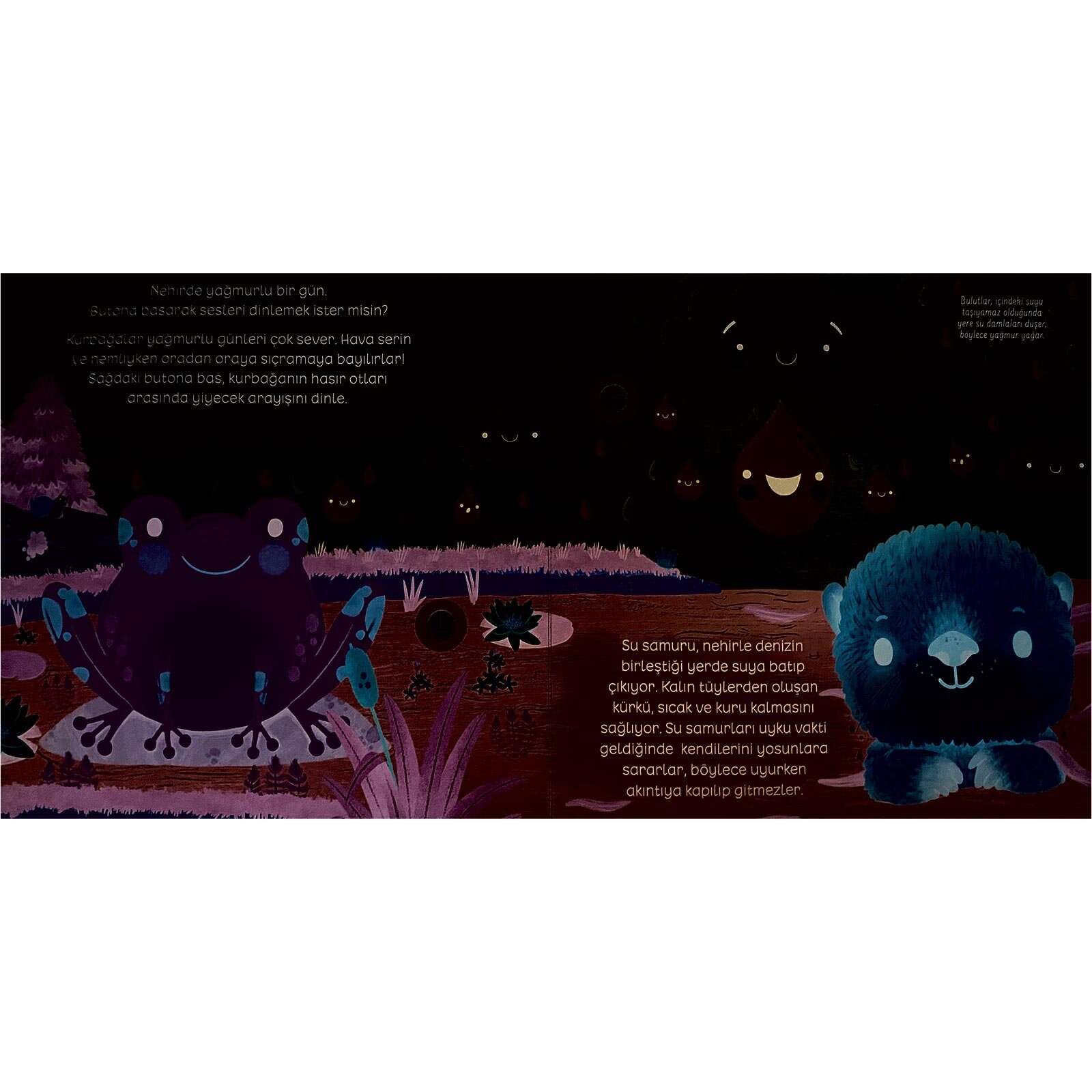 Duyarak Öğreniyorum, Doğayı Dinliyorum Duyarak Öğreniyorum, Doğayı Dinliyorum