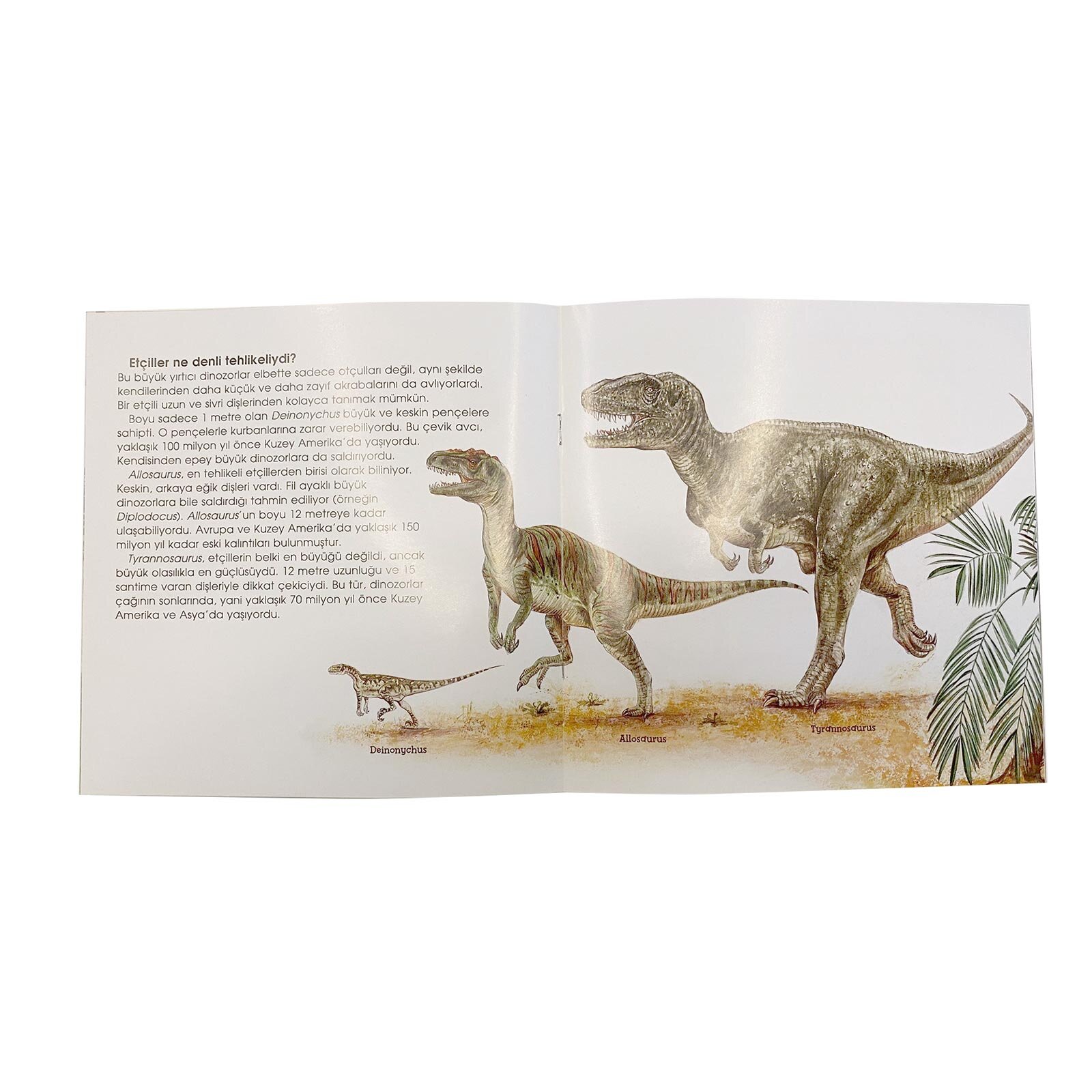 Eğlenceli Bilim – Dinozorlar