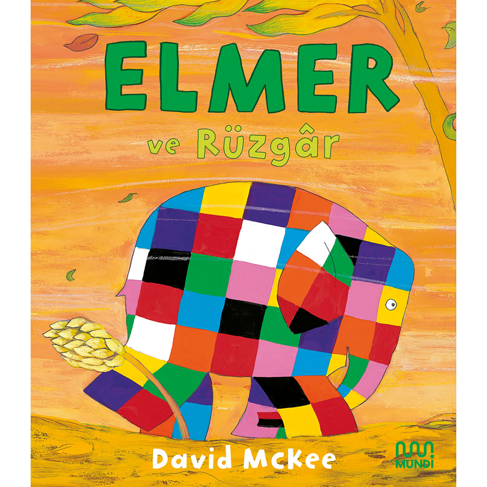 Elmer ve Rüzgar - David McKee