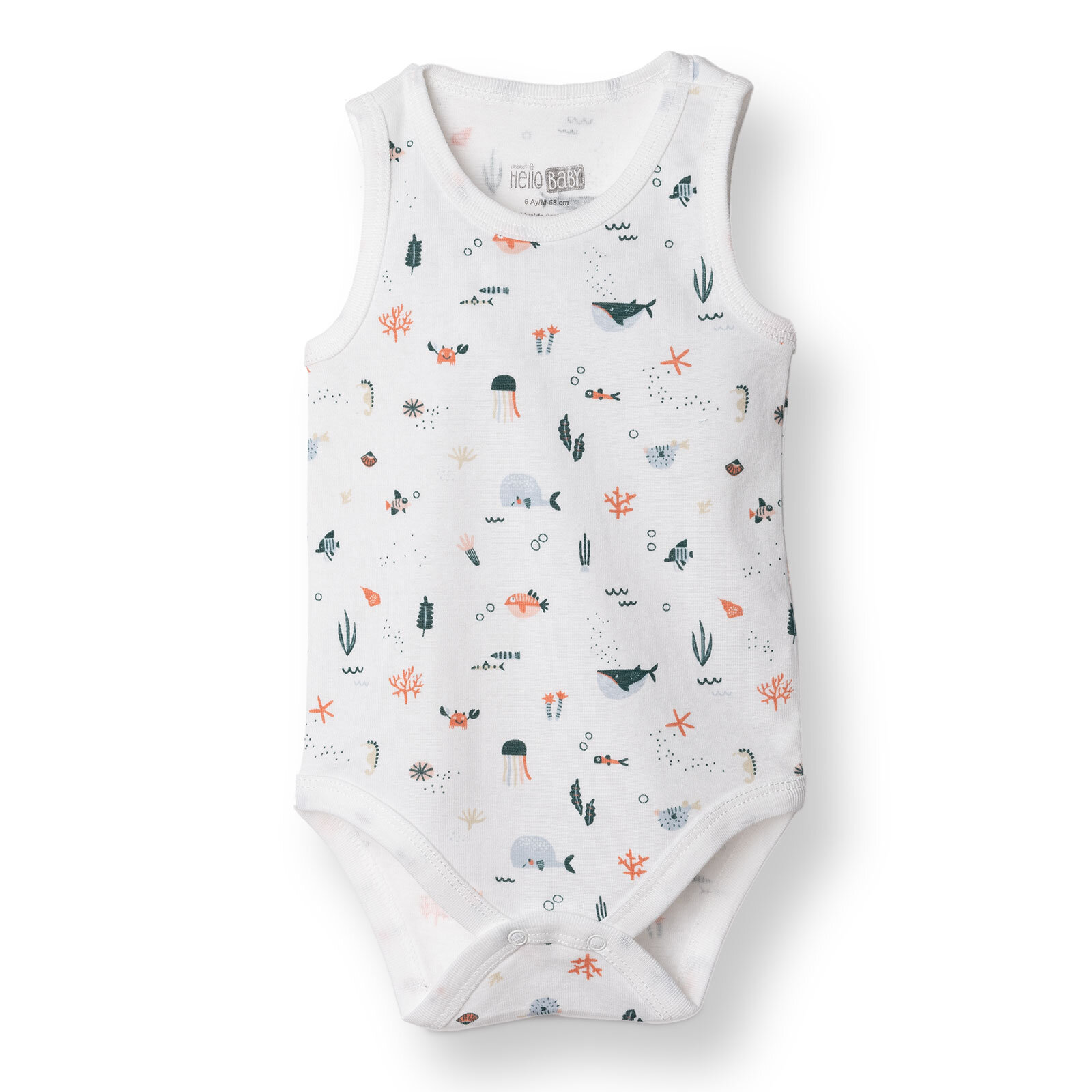 Atlet Body Atlet Body