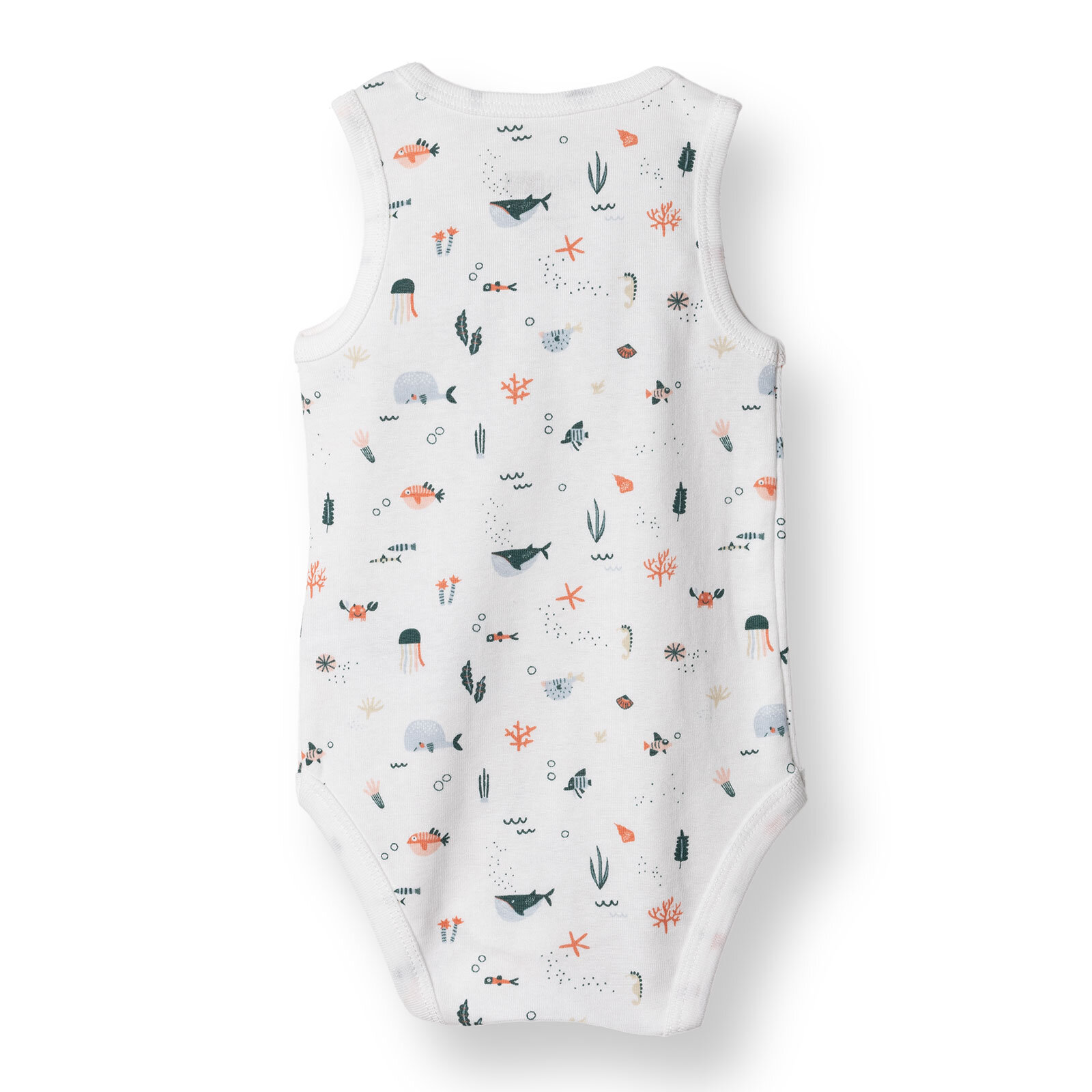 Atlet Body Atlet Body