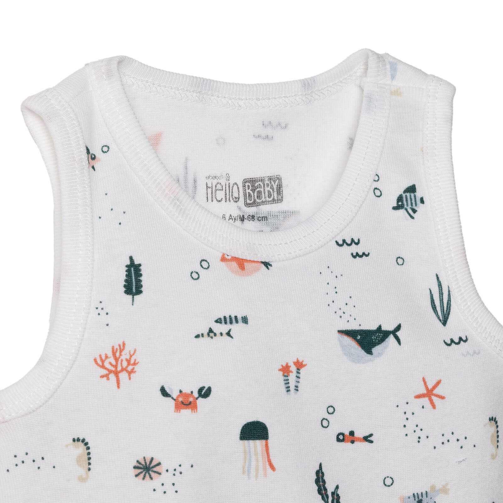 Atlet Body Atlet Body