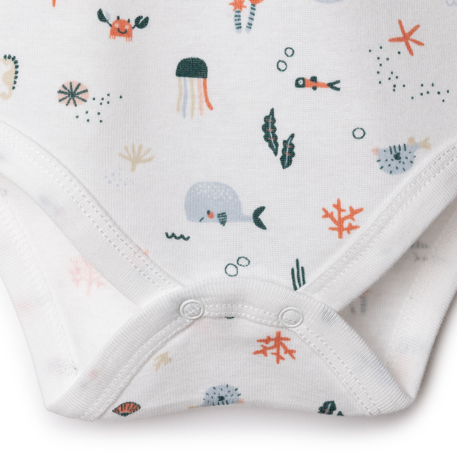 Atlet Body Atlet Body