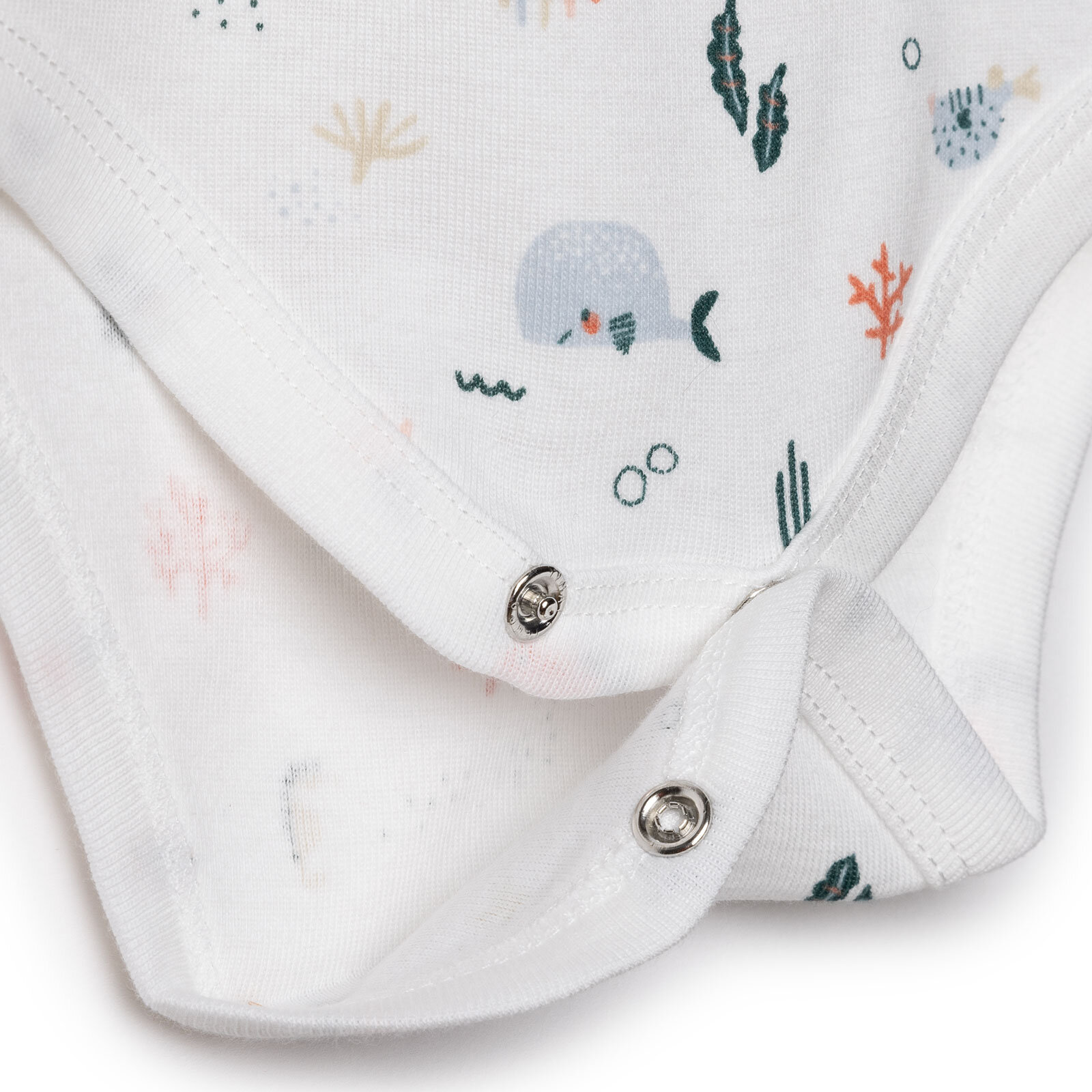 Atlet Body Atlet Body