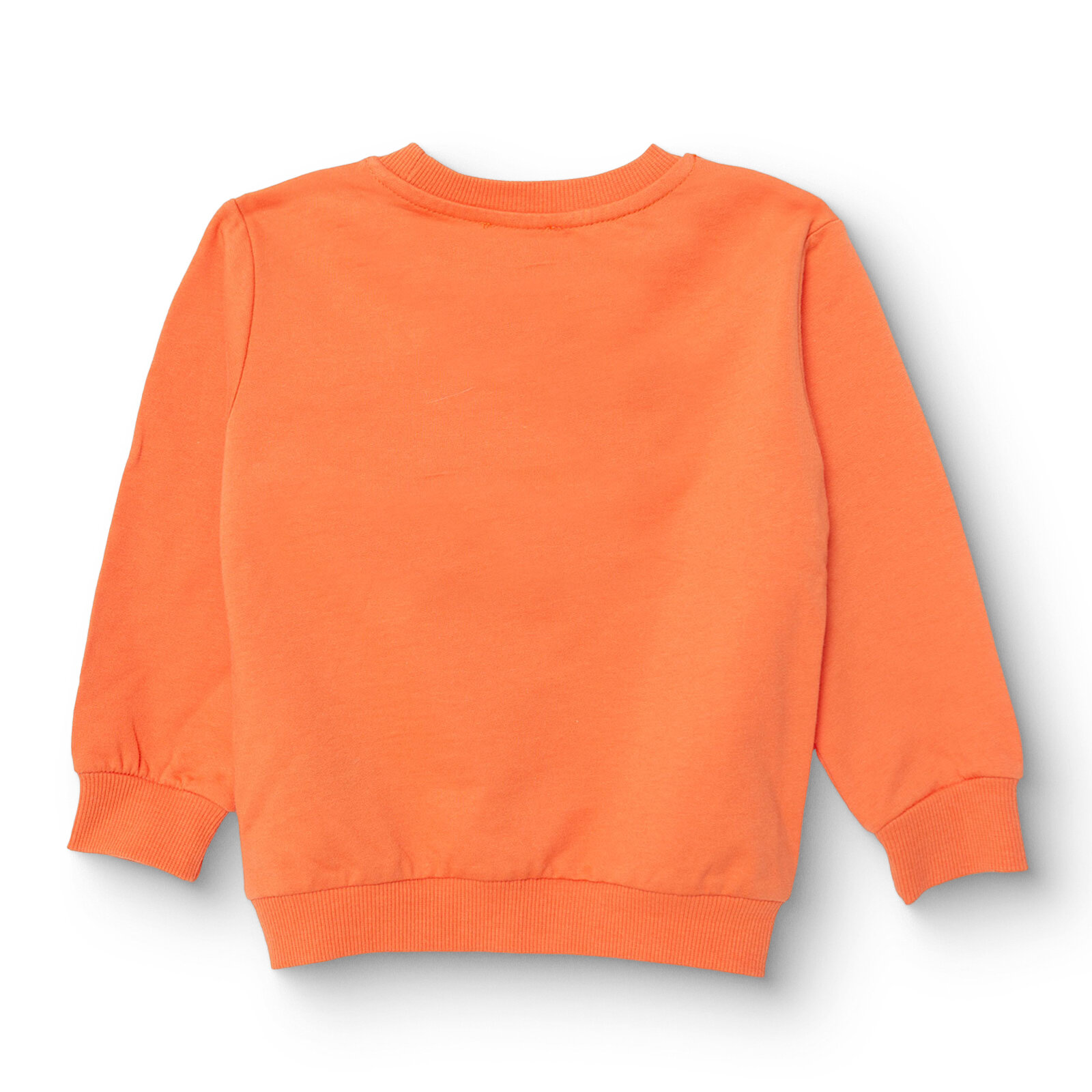 Erkek Bebek Basic Sweatshirt Şardonlu Bisiklet Yaka Uzun Kol