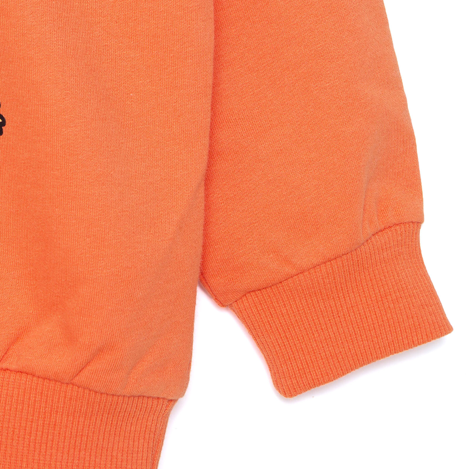 Erkek Bebek Basic Sweatshirt Şardonlu Bisiklet Yaka Uzun Kol