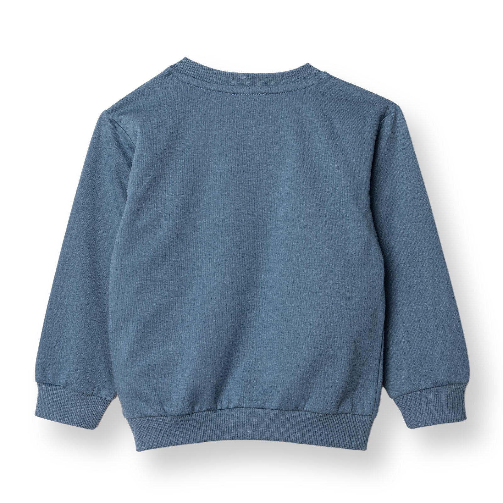 Erkek Bebek Basic Sweatshirt Şardonlu Bisiklet Yaka Uzun Kol Erkek Bebek Basic Sweatshirt Şardonlu Bisiklet Yaka Uzun Kol