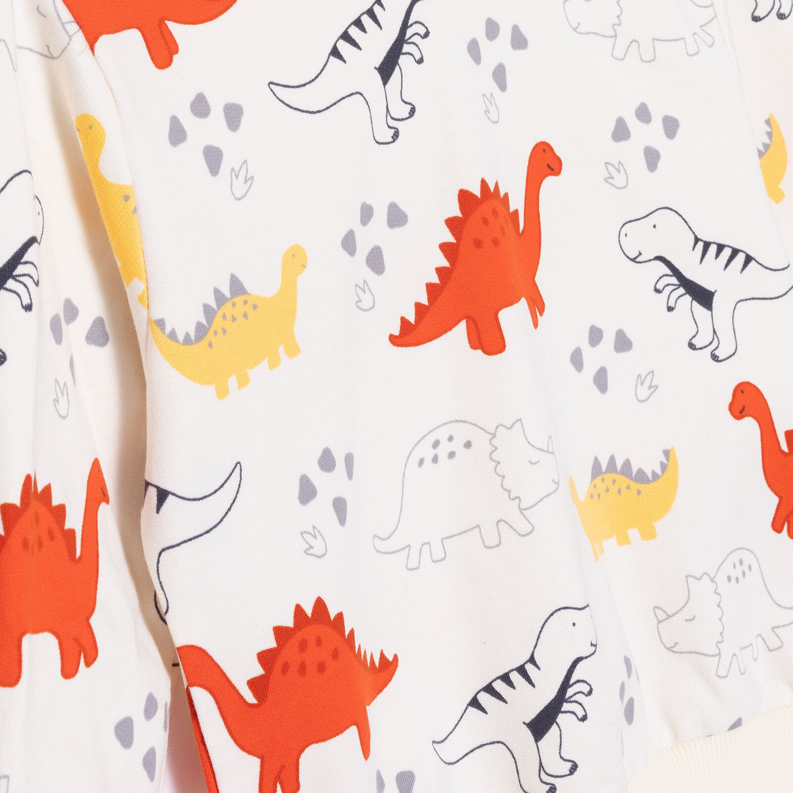 Erkek Bebek Cool Dino Eşofman Takımı Uzun Kol Lastikli Paça