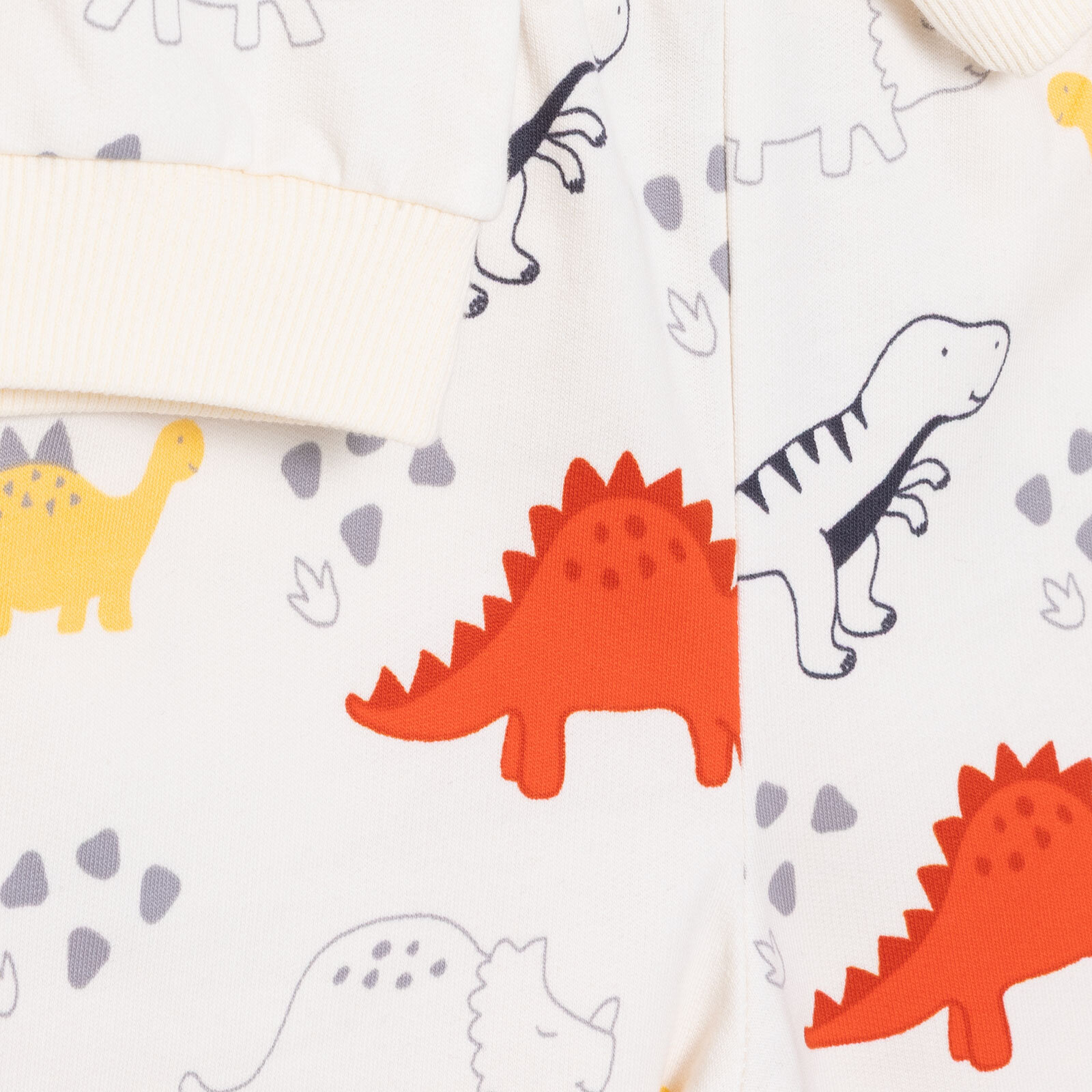 Erkek Bebek Cool Dino Eşofman Takımı Uzun Kol Lastikli Paça