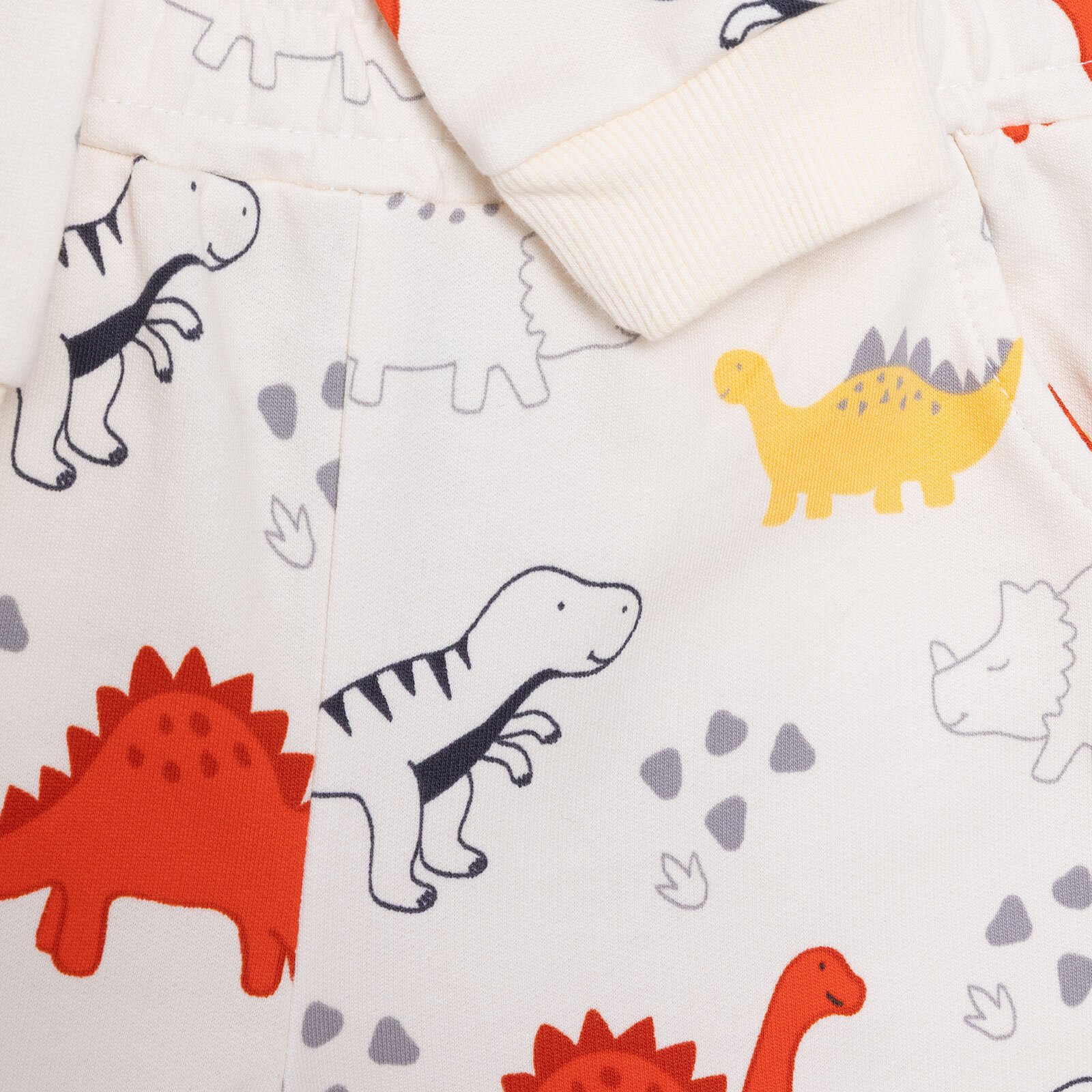 Erkek Bebek Cool Dino Eşofman Takımı Uzun Kol Lastikli Paça