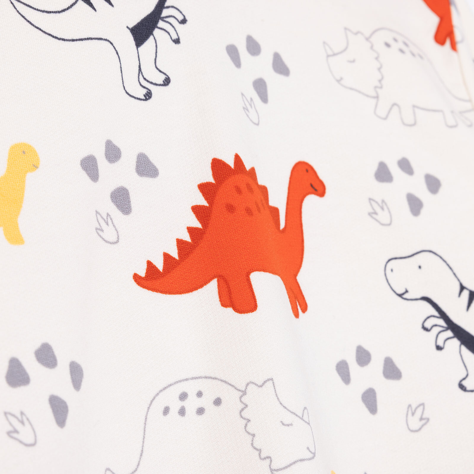 Erkek Bebek Cool Dino Eşofman Takımı Uzun Kol Lastikli Paça