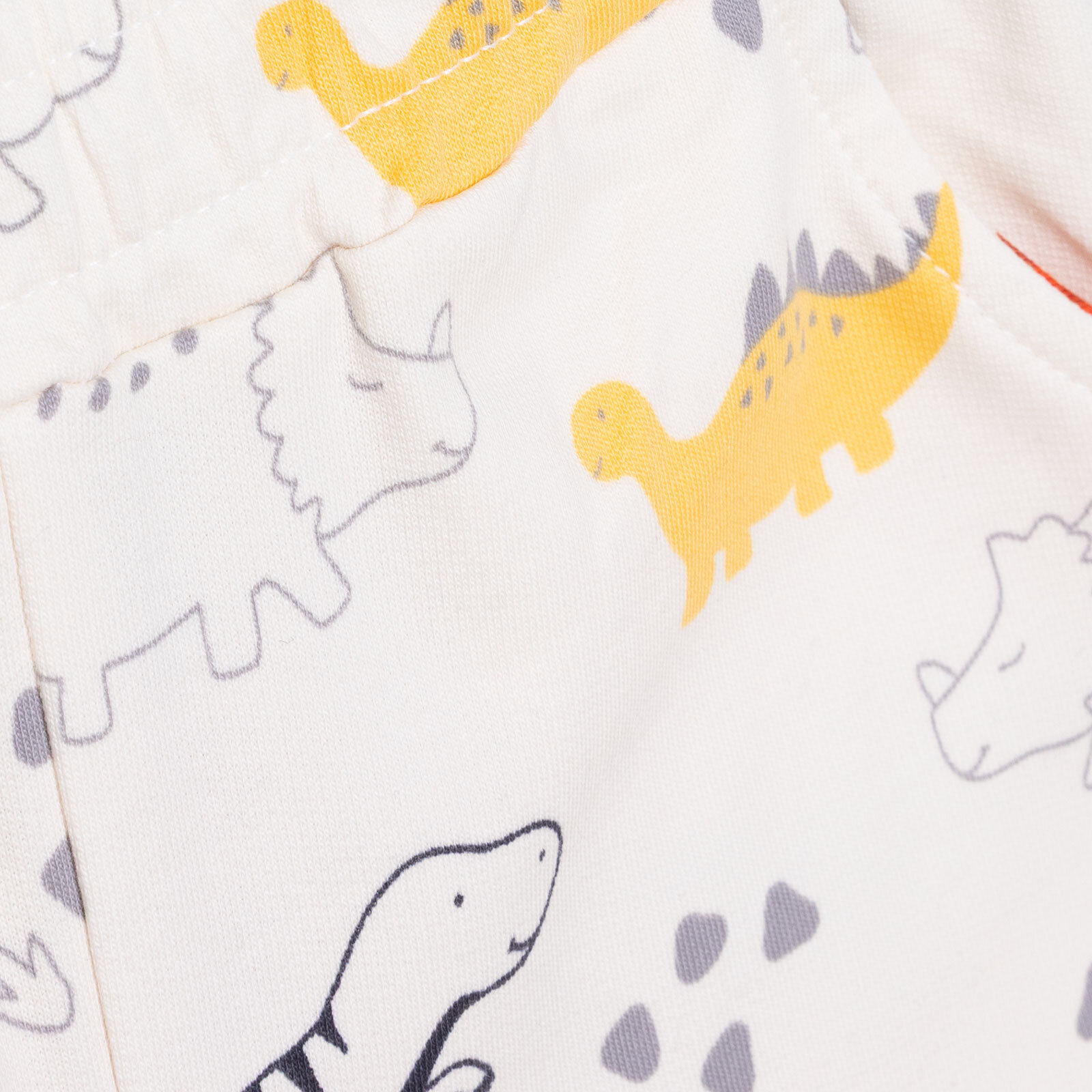 Erkek Bebek Cool Dino Eşofman Takımı Uzun Kol Lastikli Paça