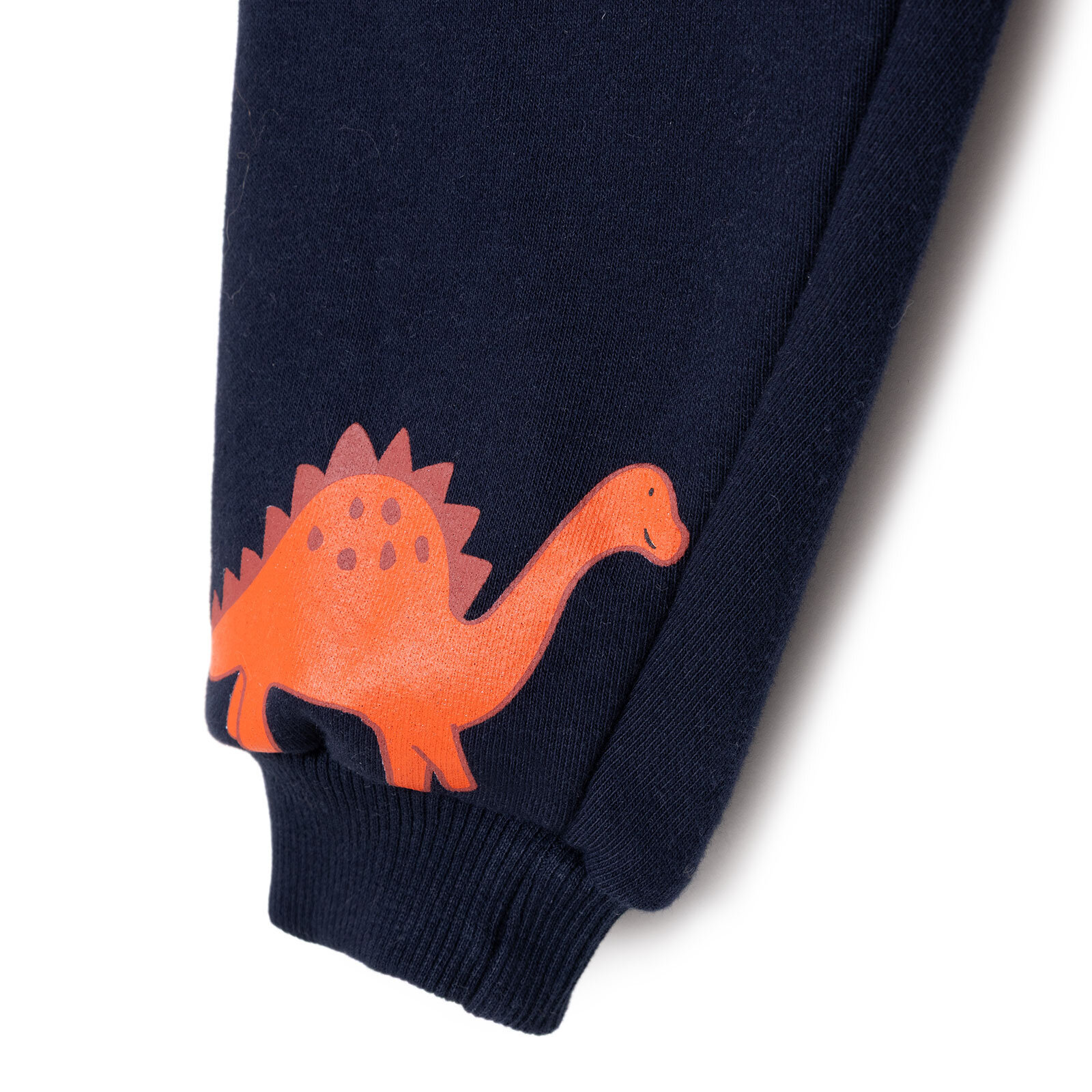 Cool Dino Eşofman Takımı Cool Dino Eşofman Takımı