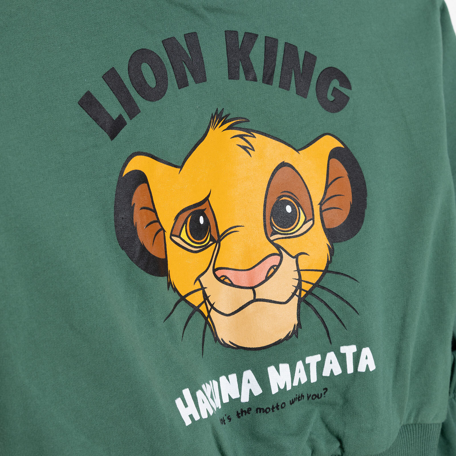 Erkek Bebek Eşofman Takımı İki İplik Bisiklet Yaka Uzun Kol Ribanalı Paça