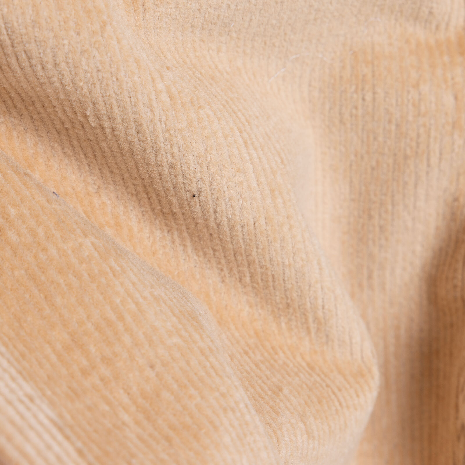 Erkek Bebek Hello Cute Bear Pantolon Kadife Ribanalı Paça