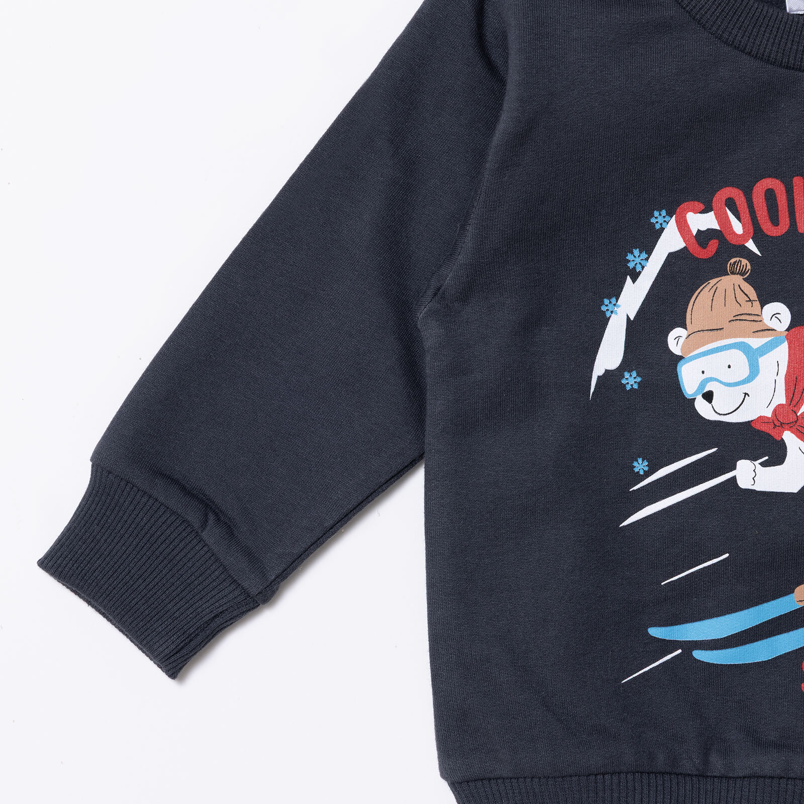 Erkek Bebek Sweatshirt Bisiklet Yaka Uzun Kol Erkek Bebek Sweatshirt Bisiklet Yaka Uzun Kol