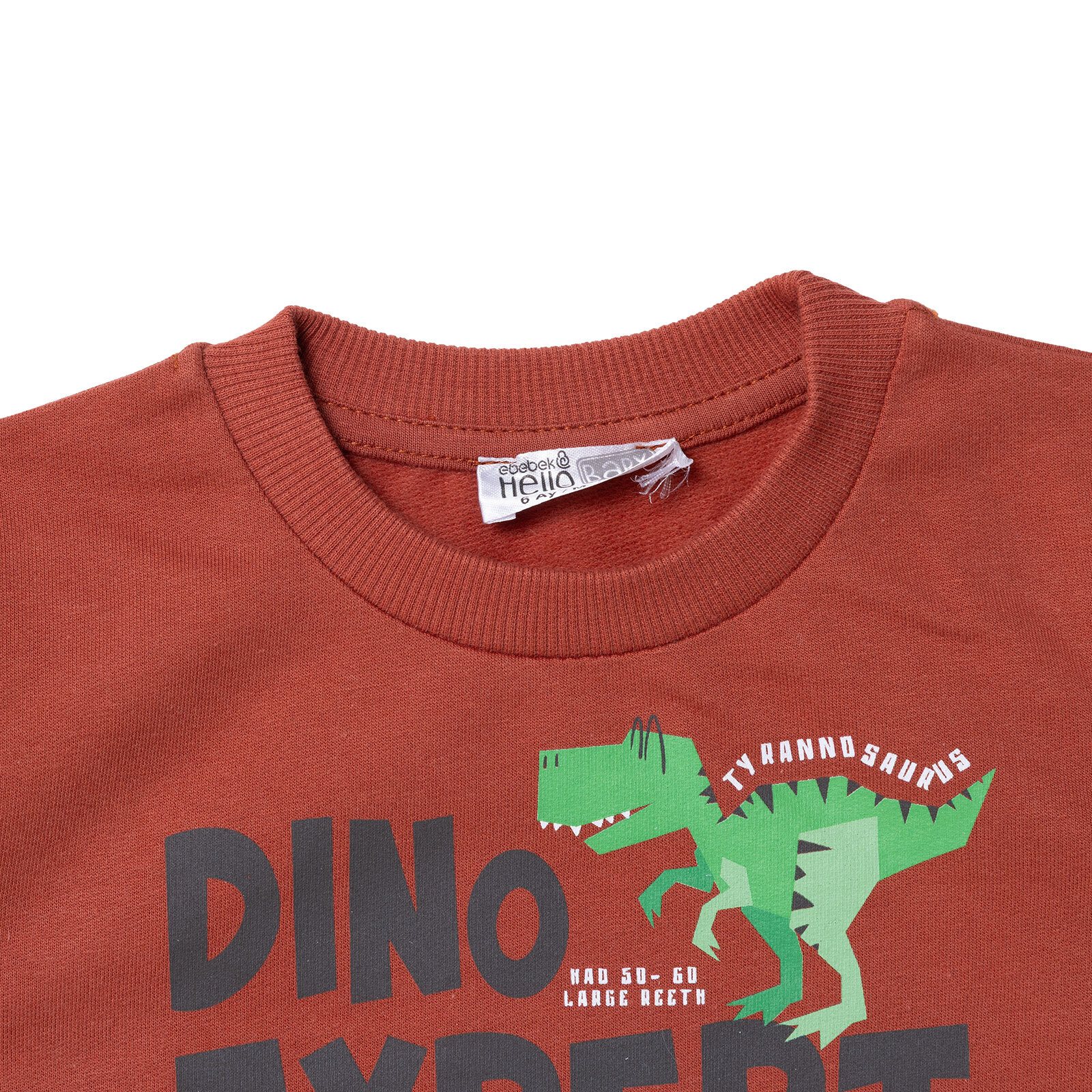 Erkek Bebek Sweatshirt &nbsp;Dinazor Baskılı Bisiklet Yaka Uzun Kol